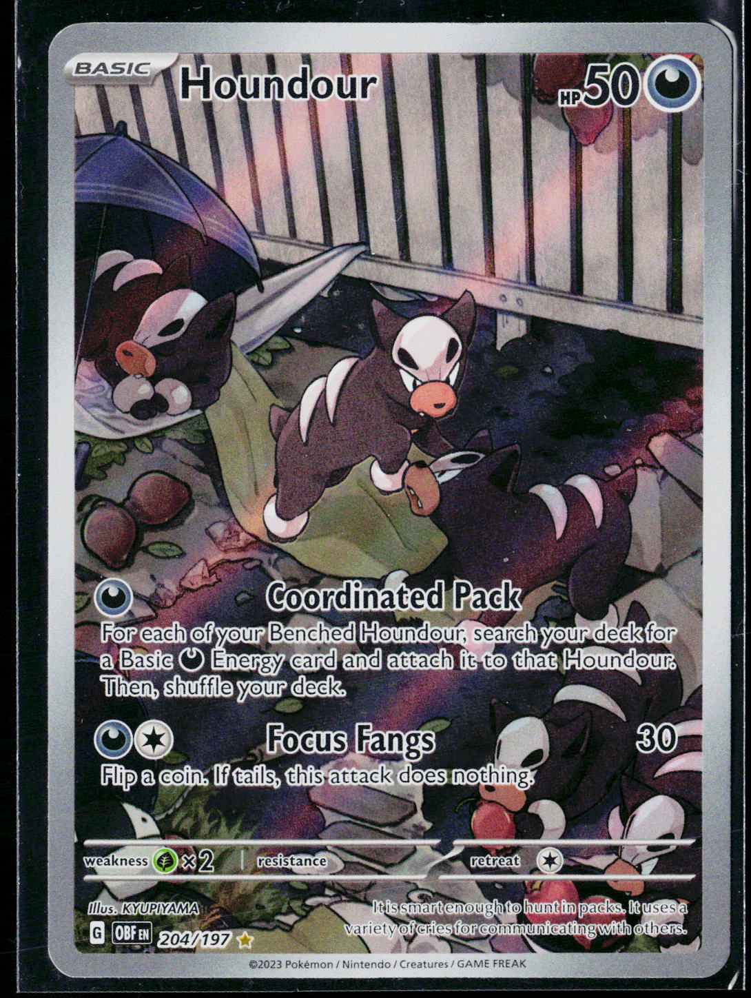 Houndour - 204/197