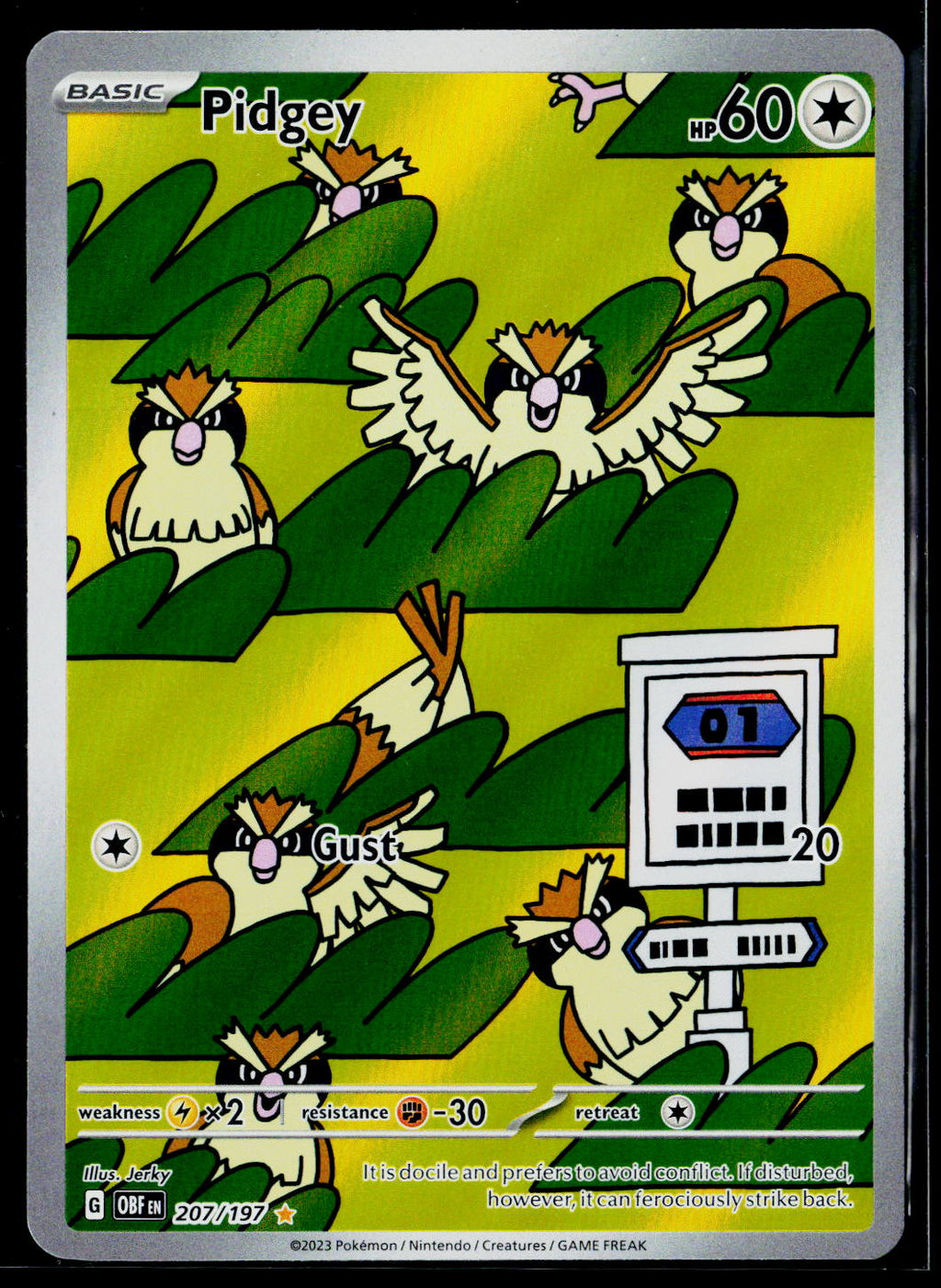 Pidgey - 207/197