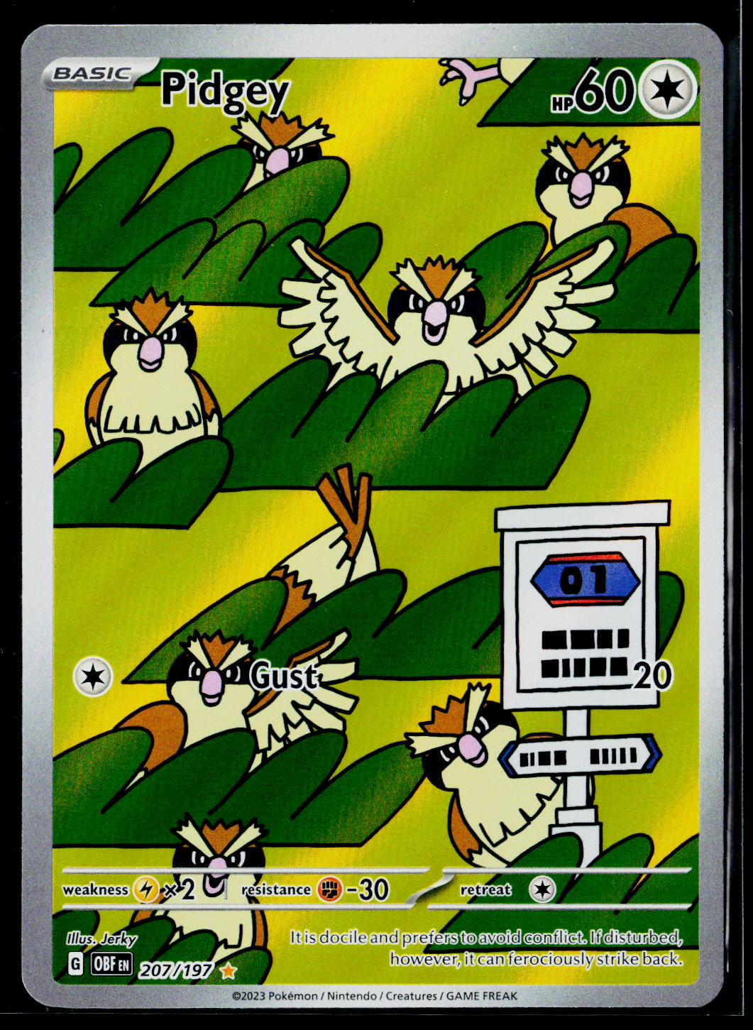 Pidgey - 207/197