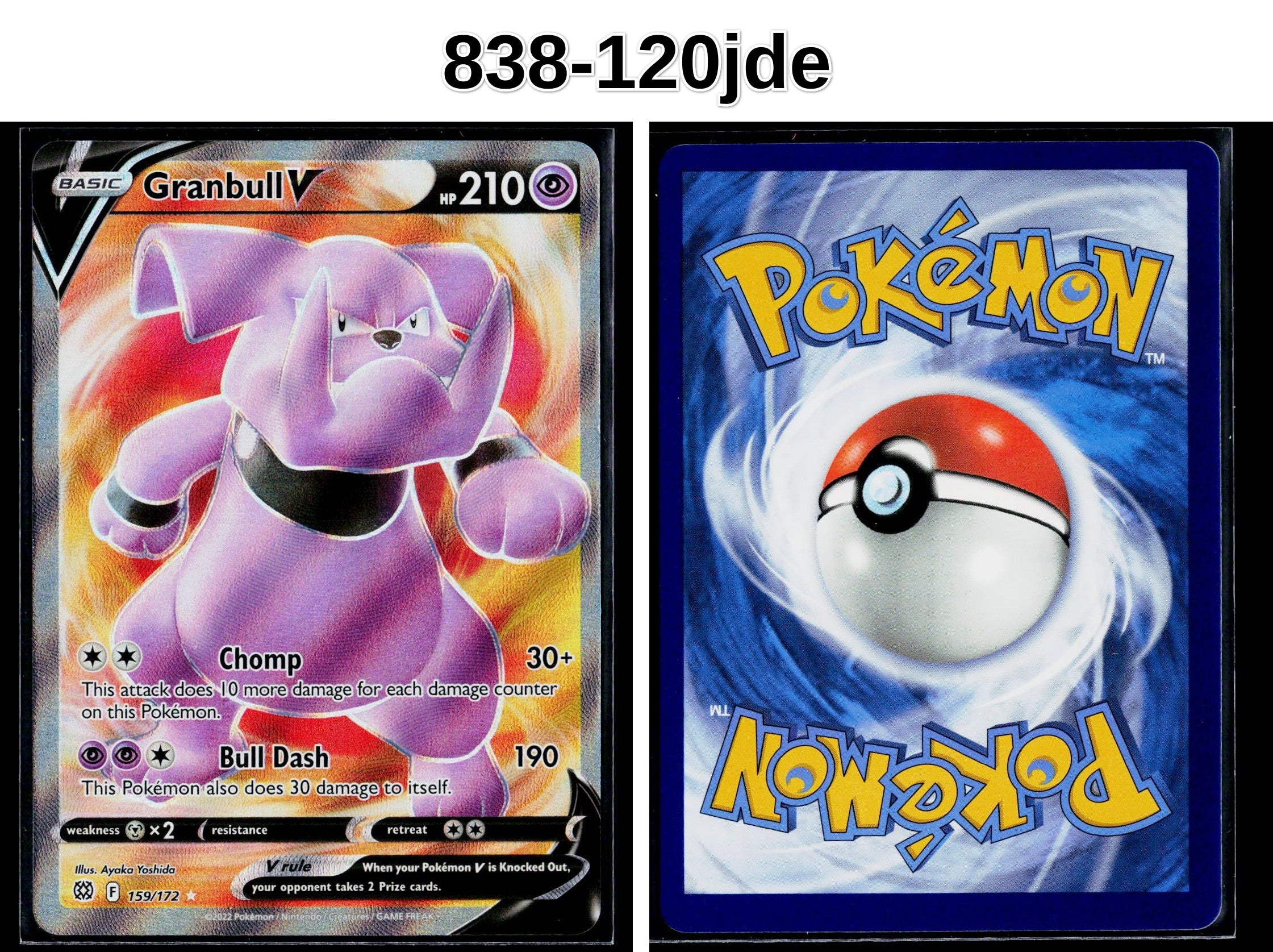 Front + Back scan