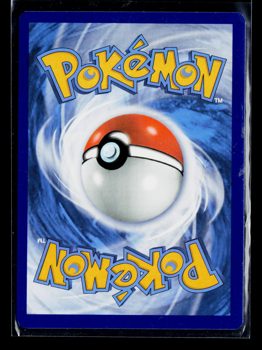 Kyogre (Back)
