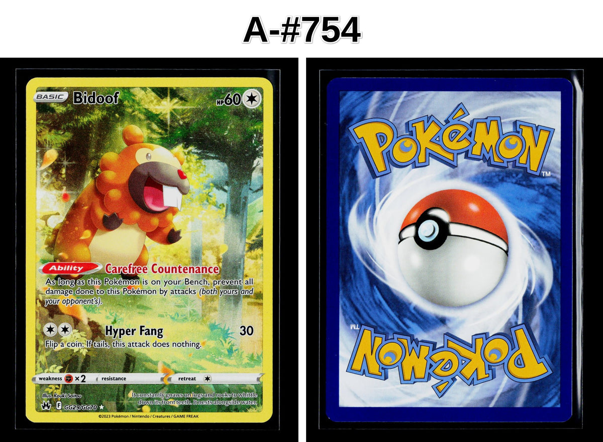 Front + Back scan