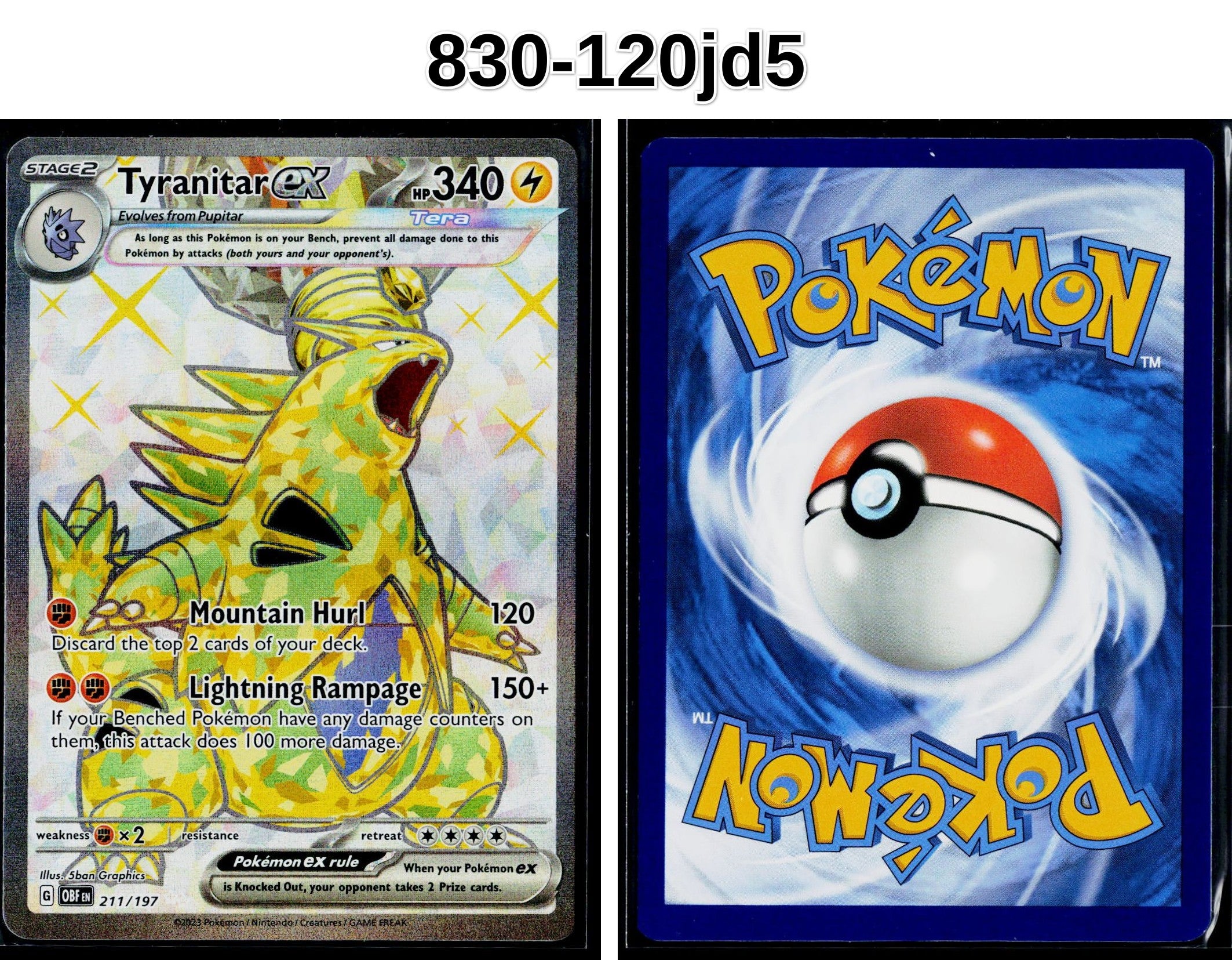 Front + Back scan