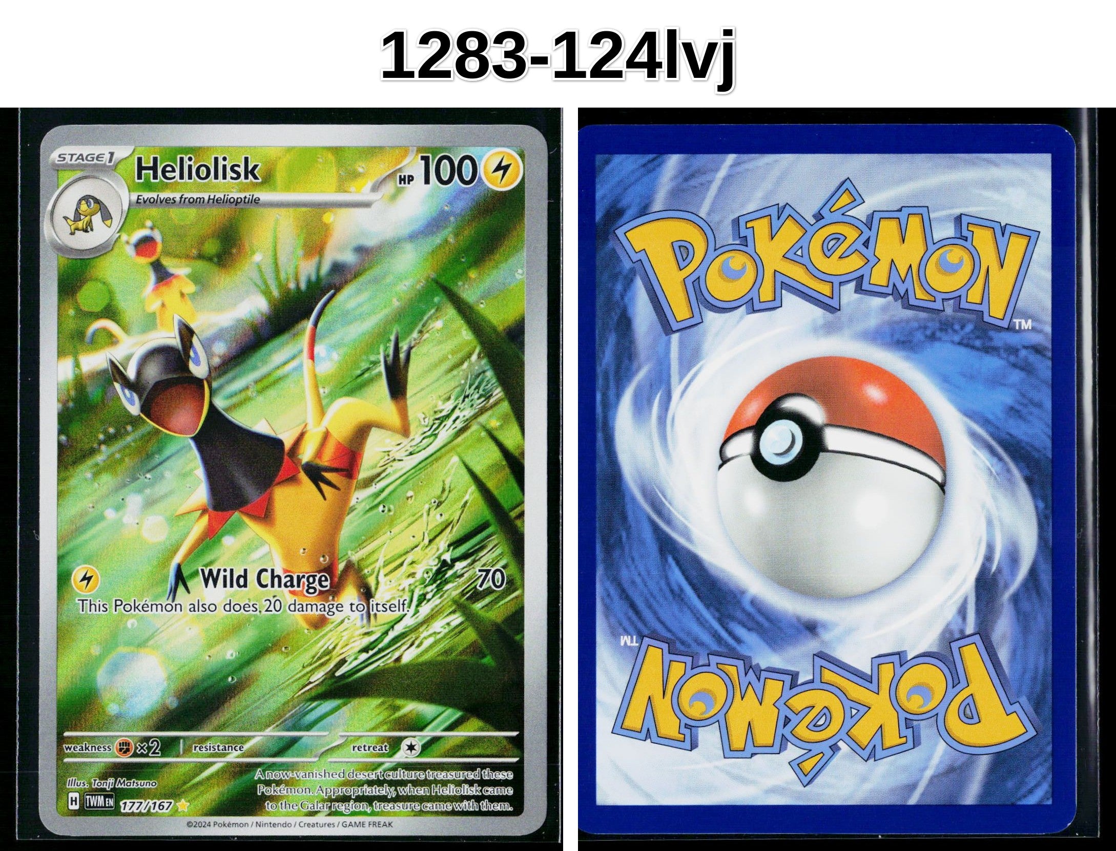 Front + Back scan