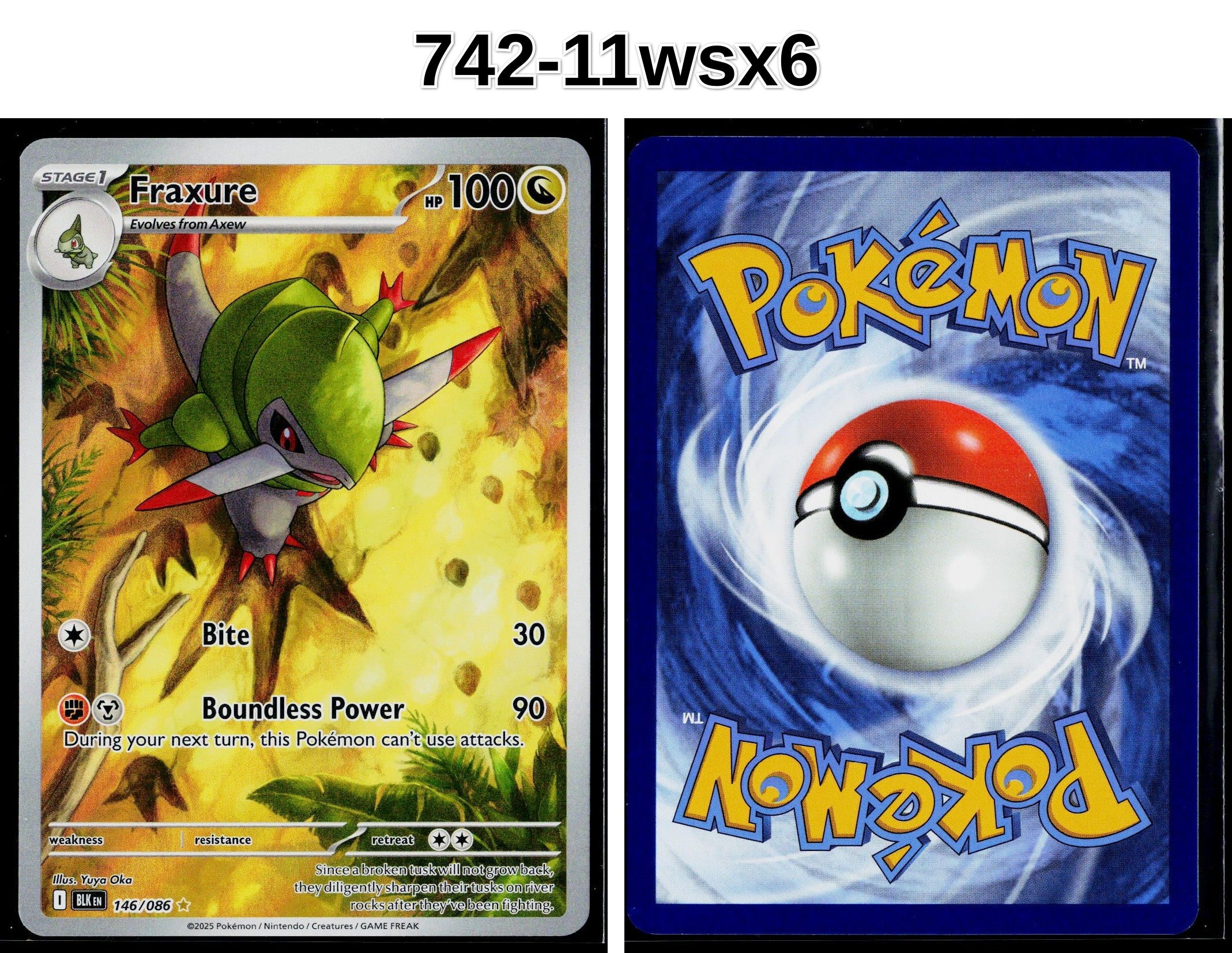 Front + Back scan