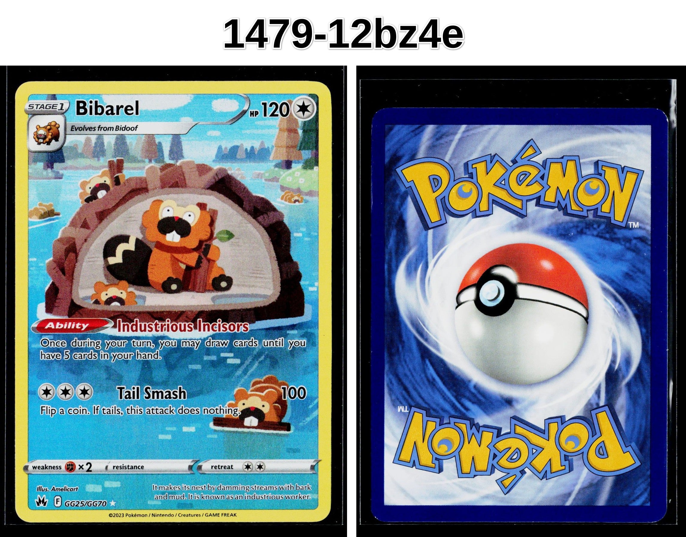 Front + Back scan