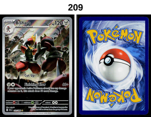 Front + Back scan