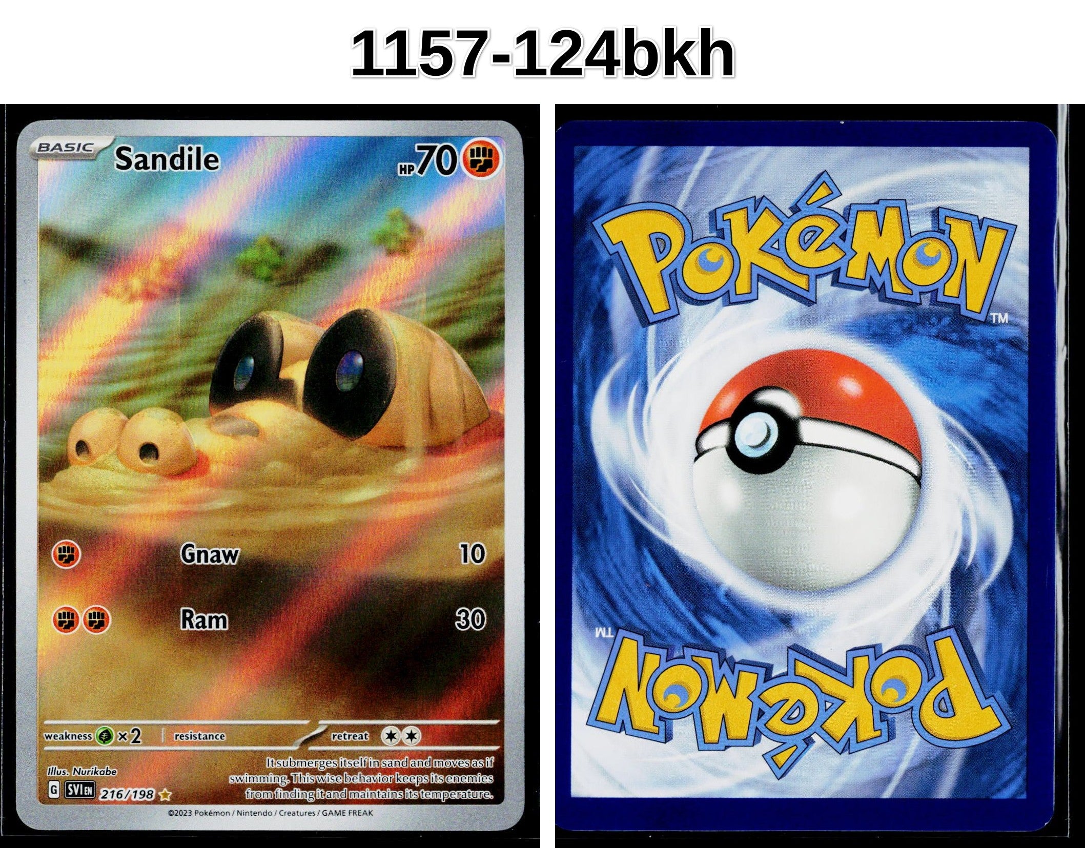 Front + Back scan