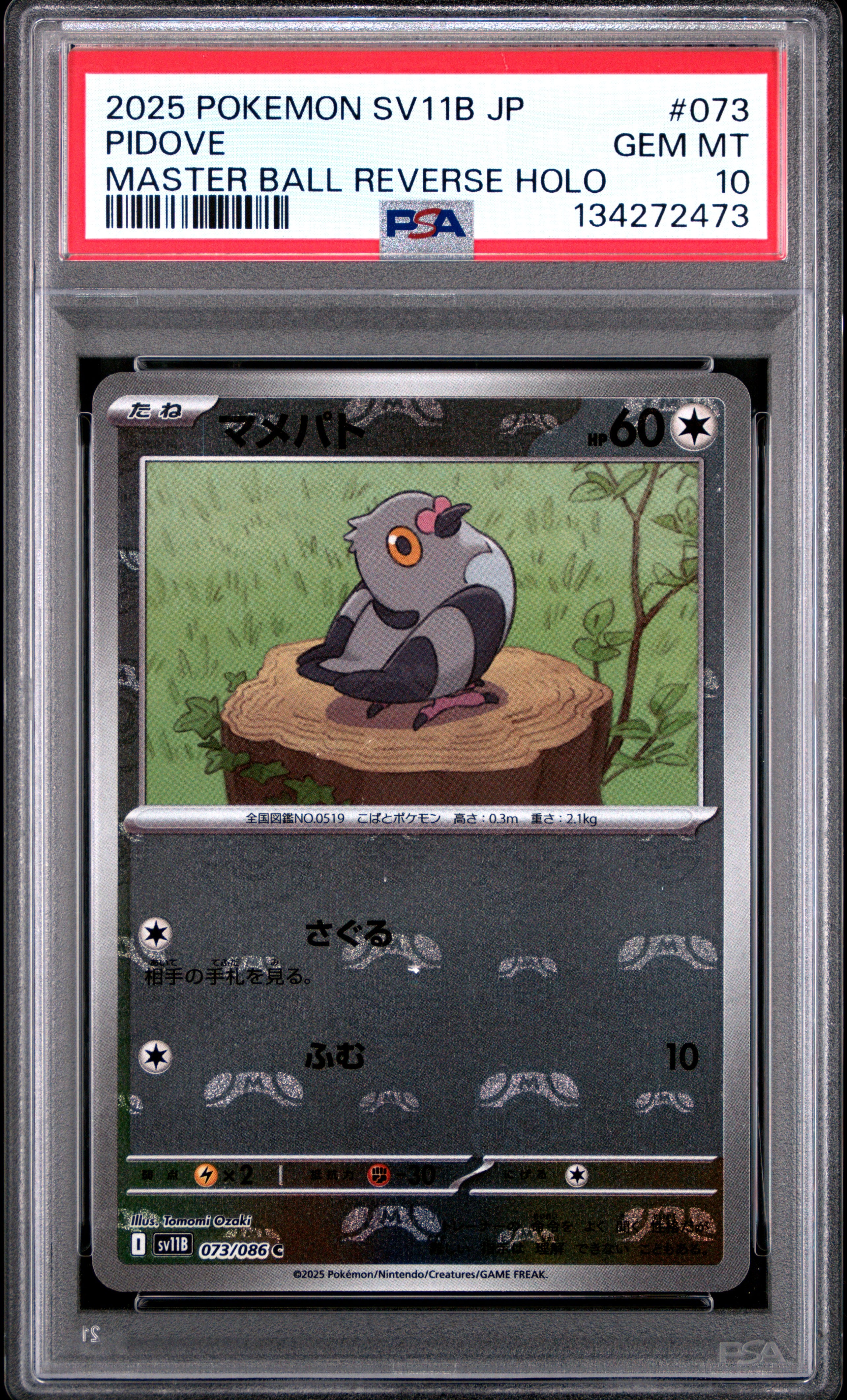 Pidove - 073/086 (Master Ball Pattern) 073/086 SV11B: Black Bolt Common Pokemon Japan
