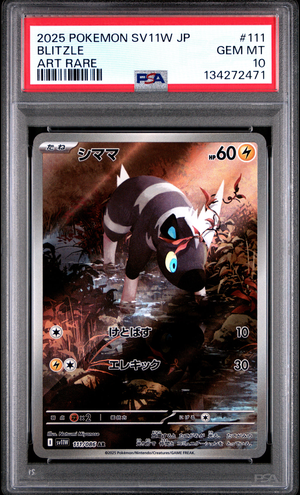 Blitzle - 111/086 SV11W: White Flare Art Rare Pokemon Japan
