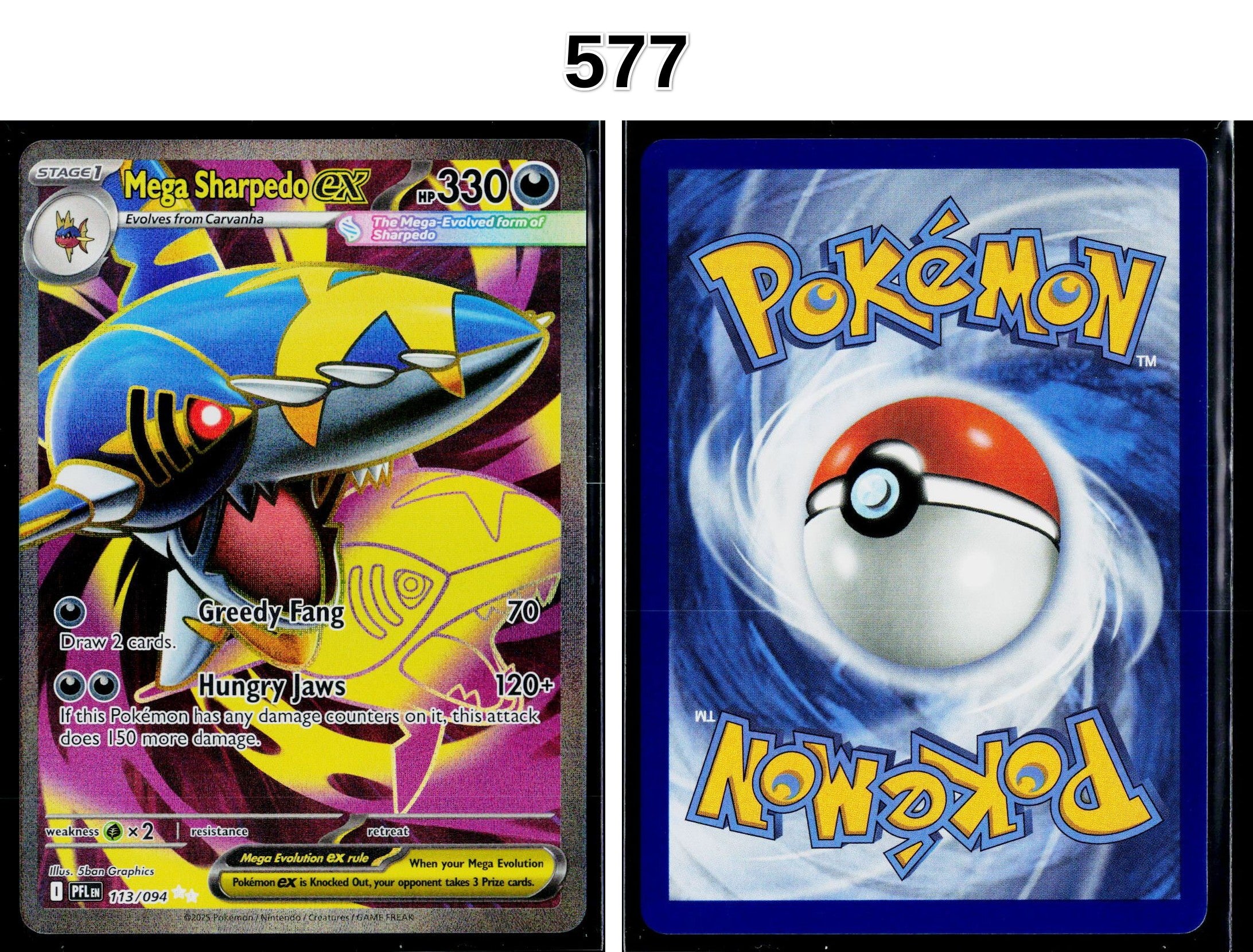 Front + Back scan