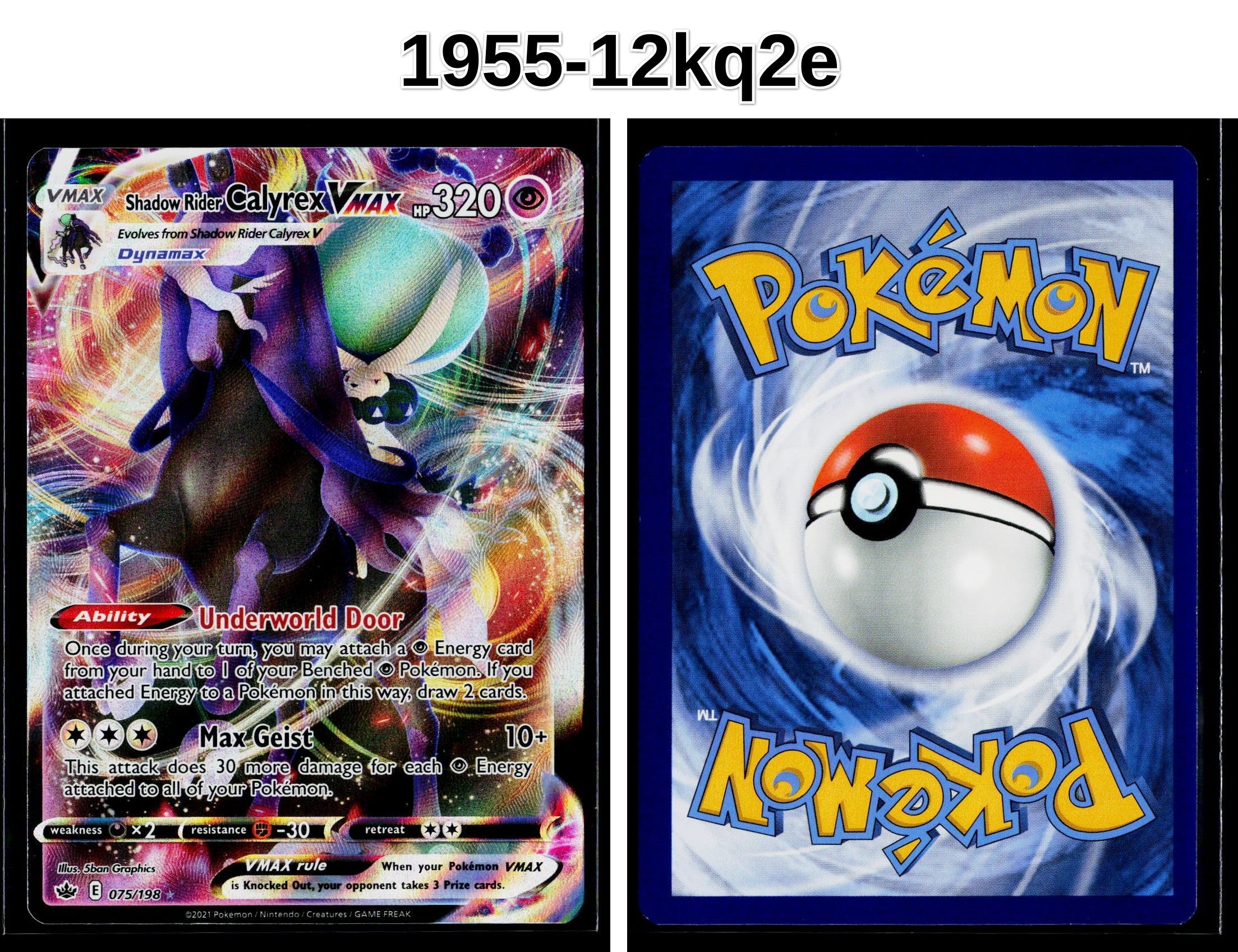 Front + Back scan