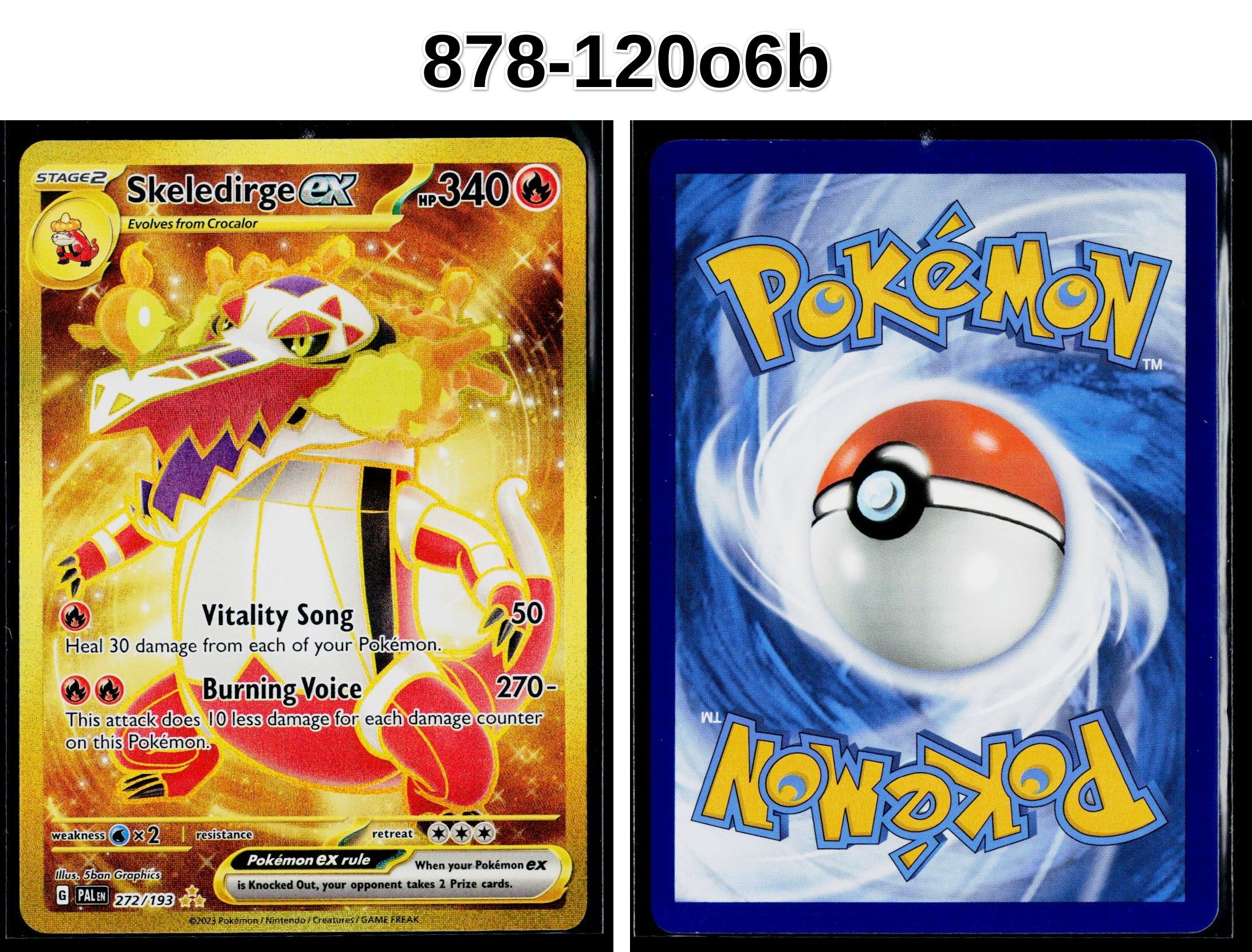Front + Back scan