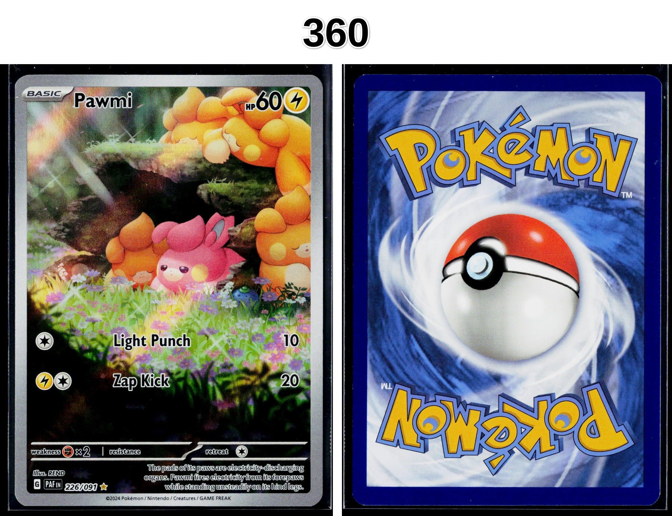 Front + Back scan