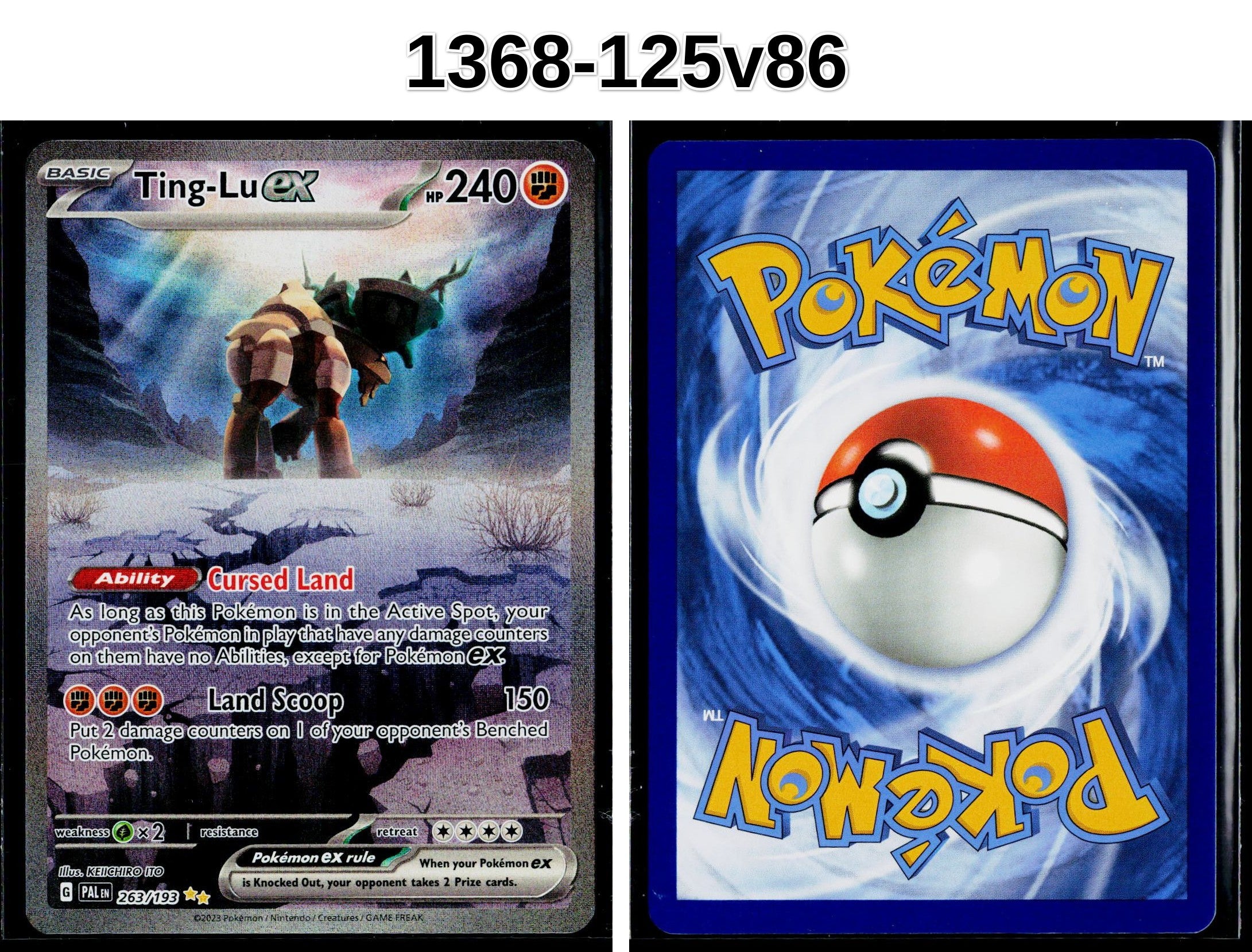 Front + Back scan