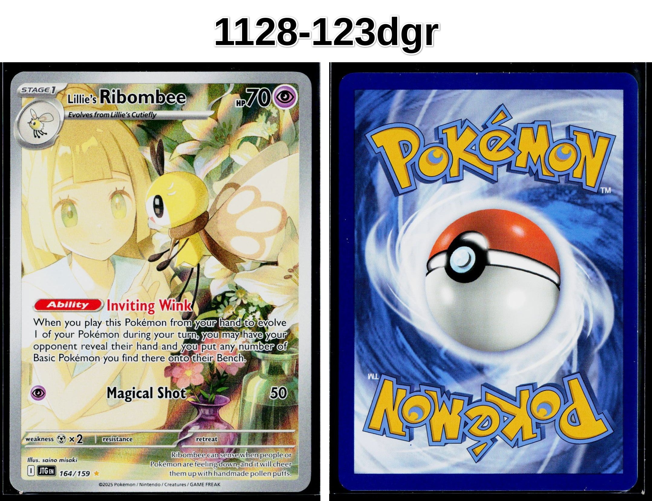 Front + Back scan