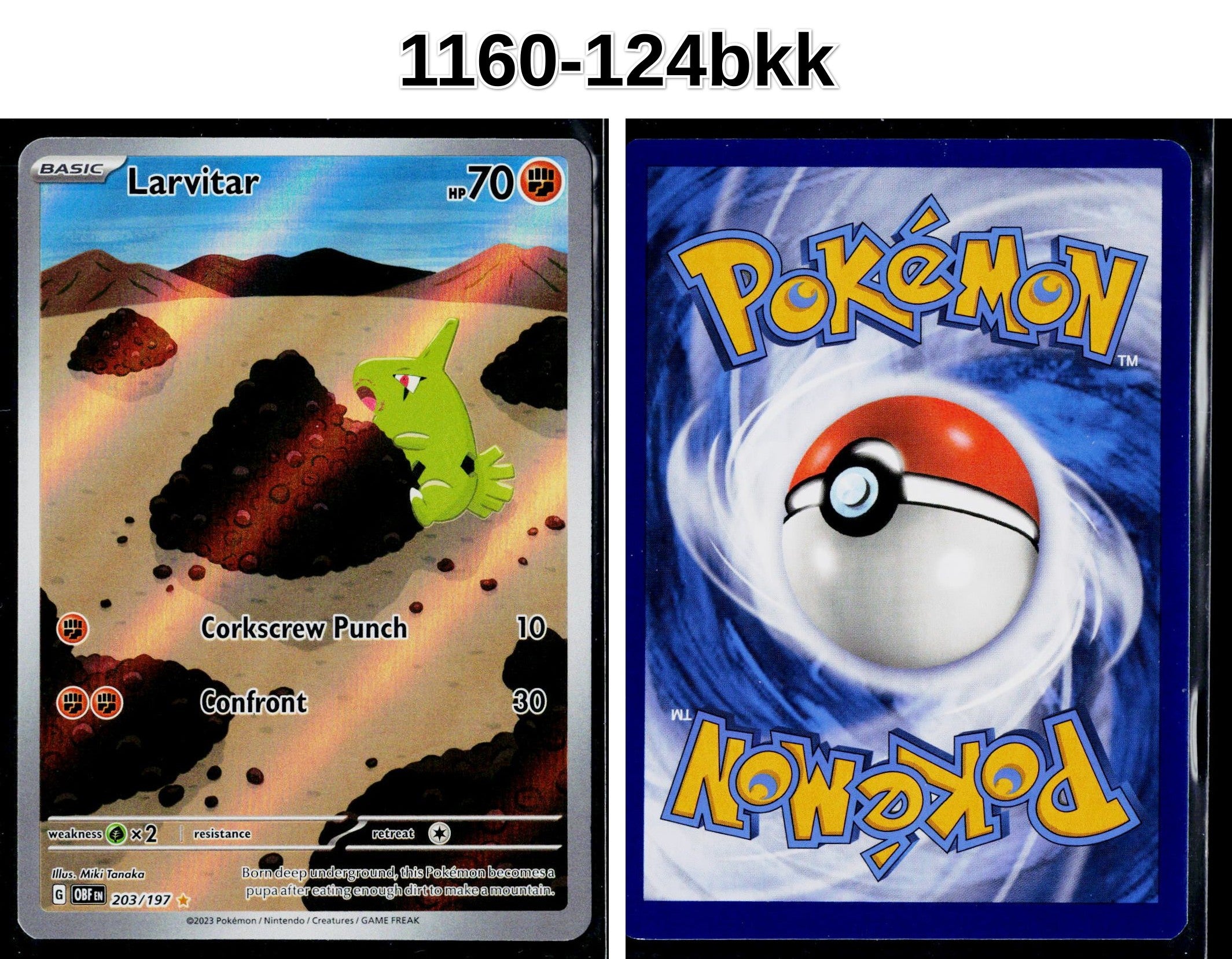 Front + Back scan