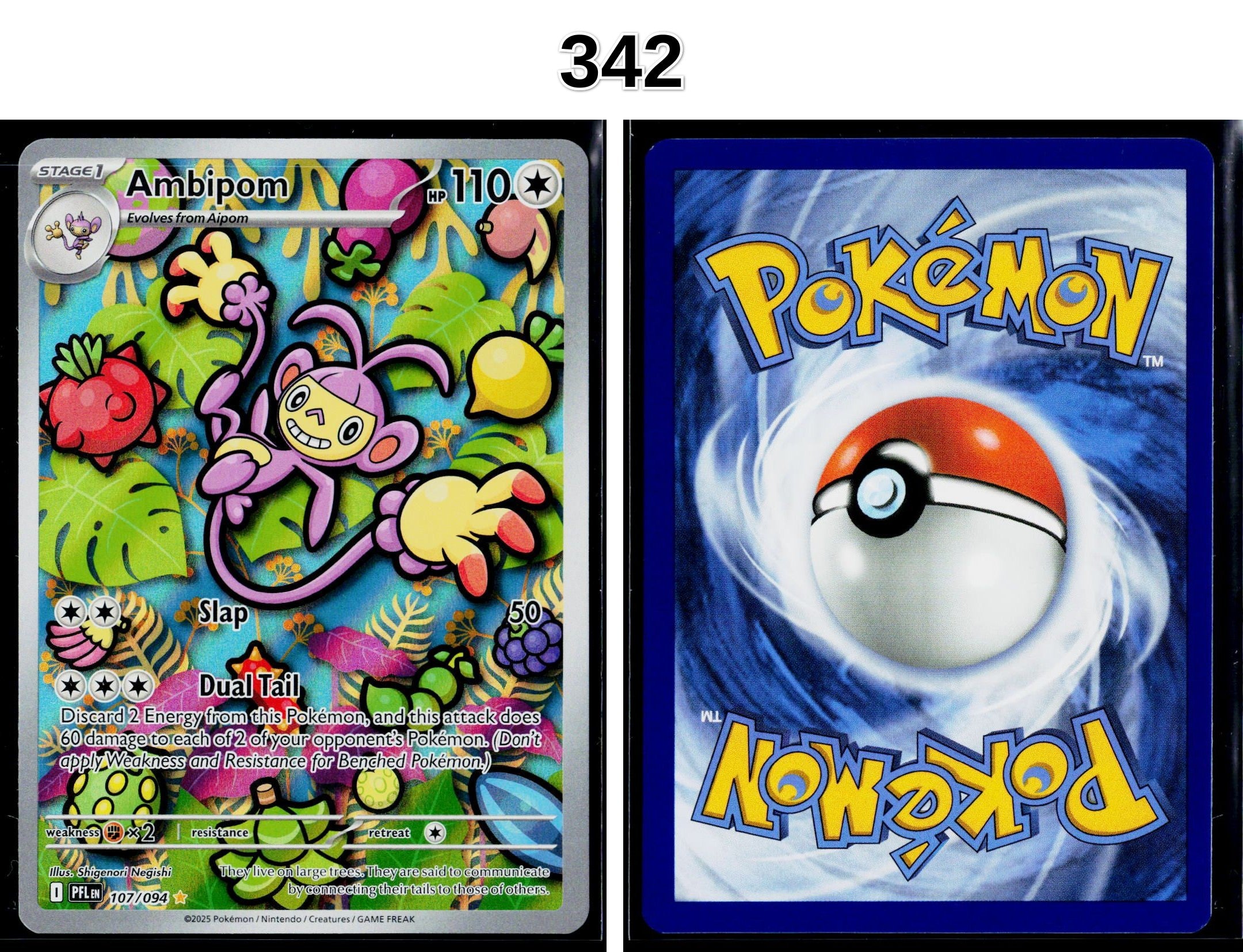 Front + Back scan