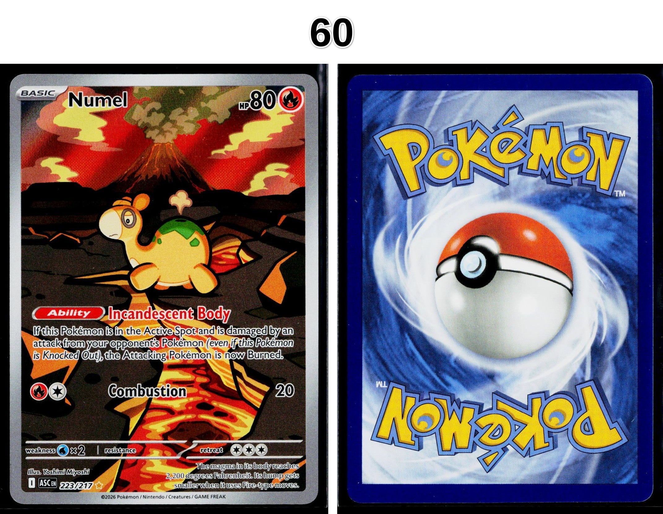 Front + Back scan