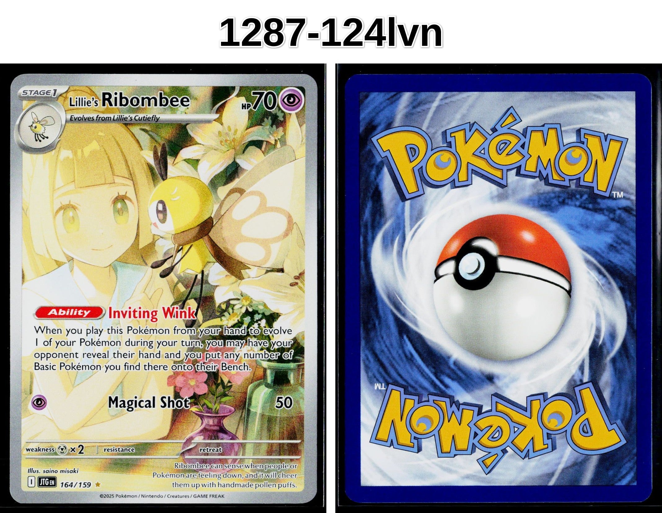 Front + Back scan