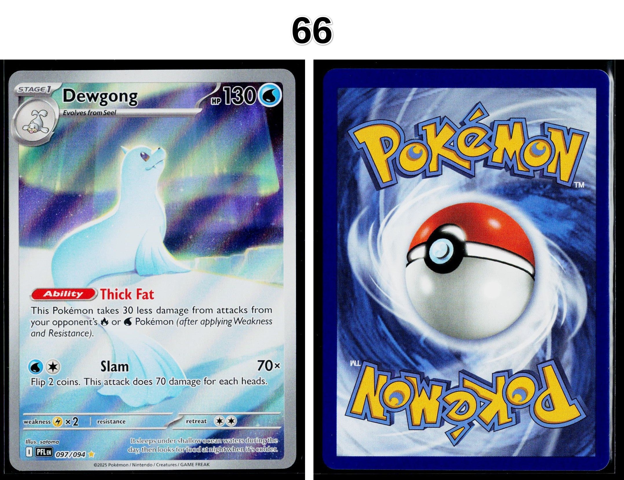 Front + Back scan