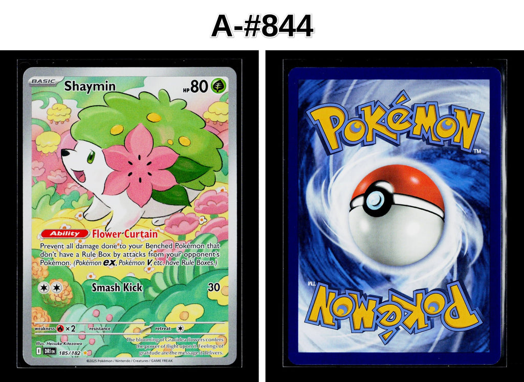 Front + Back scan