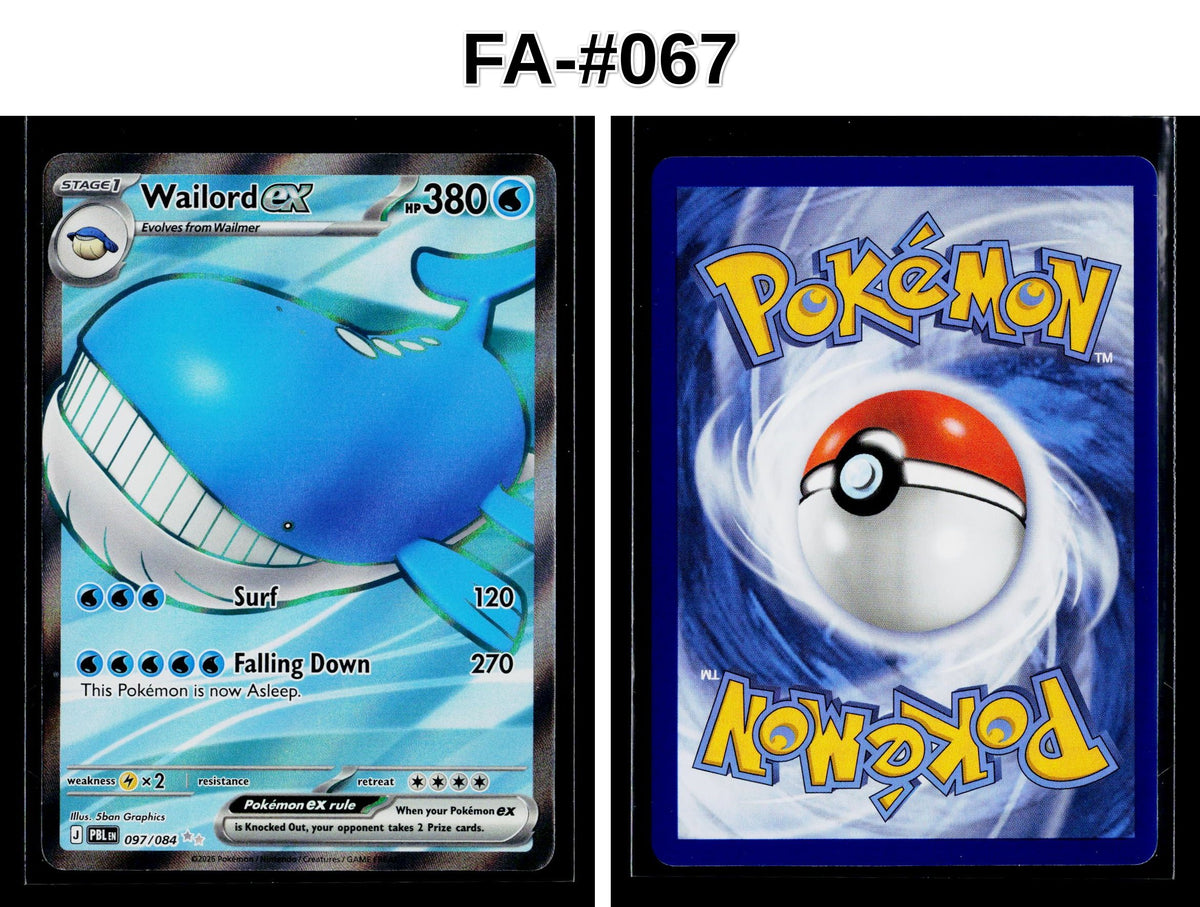 Front + Back scan