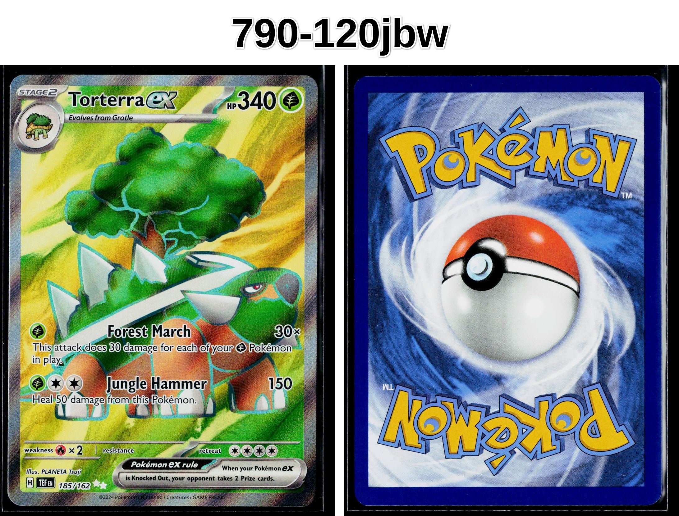 Front + Back scan