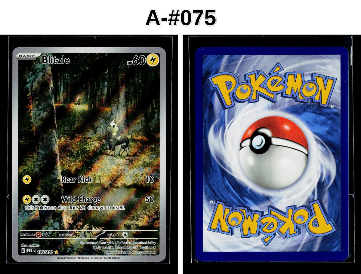 Front + Back scan
