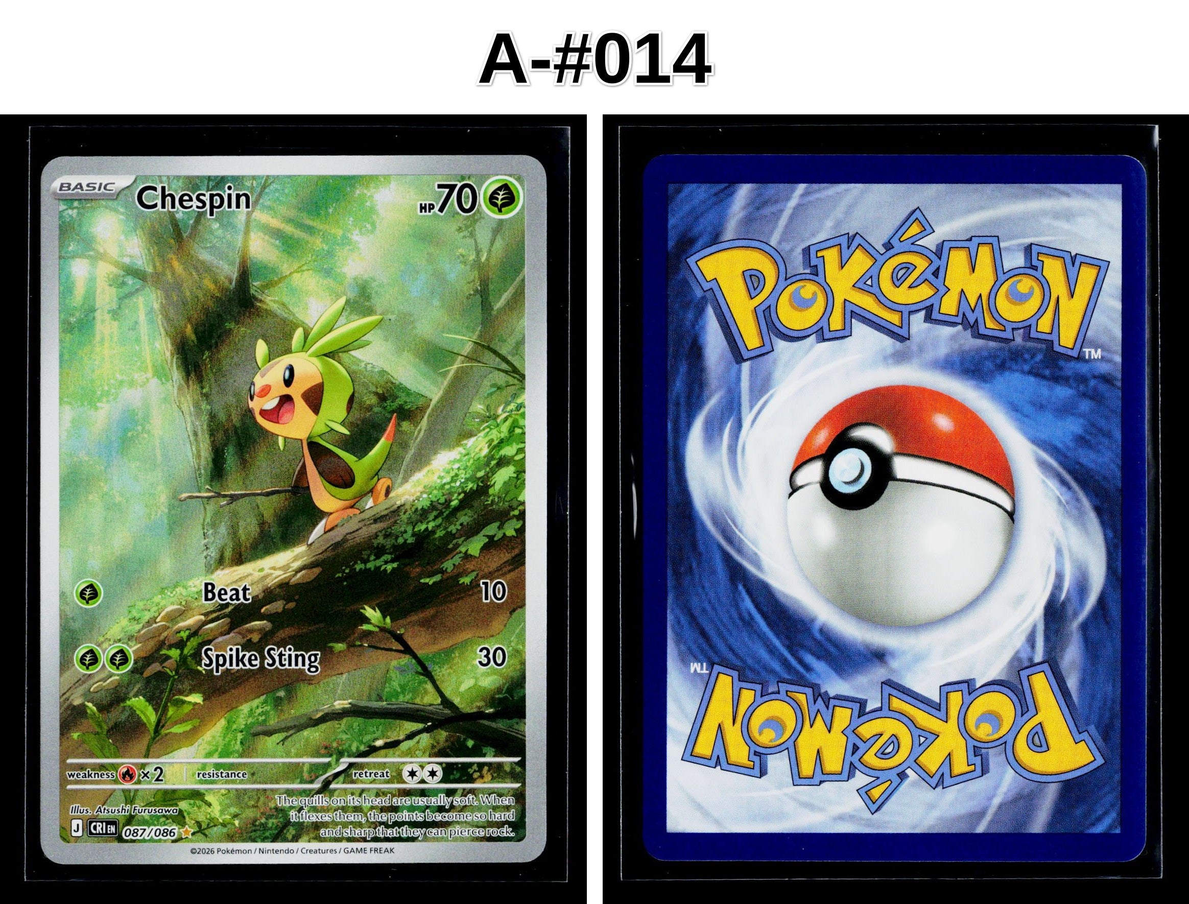 Front + Back scan