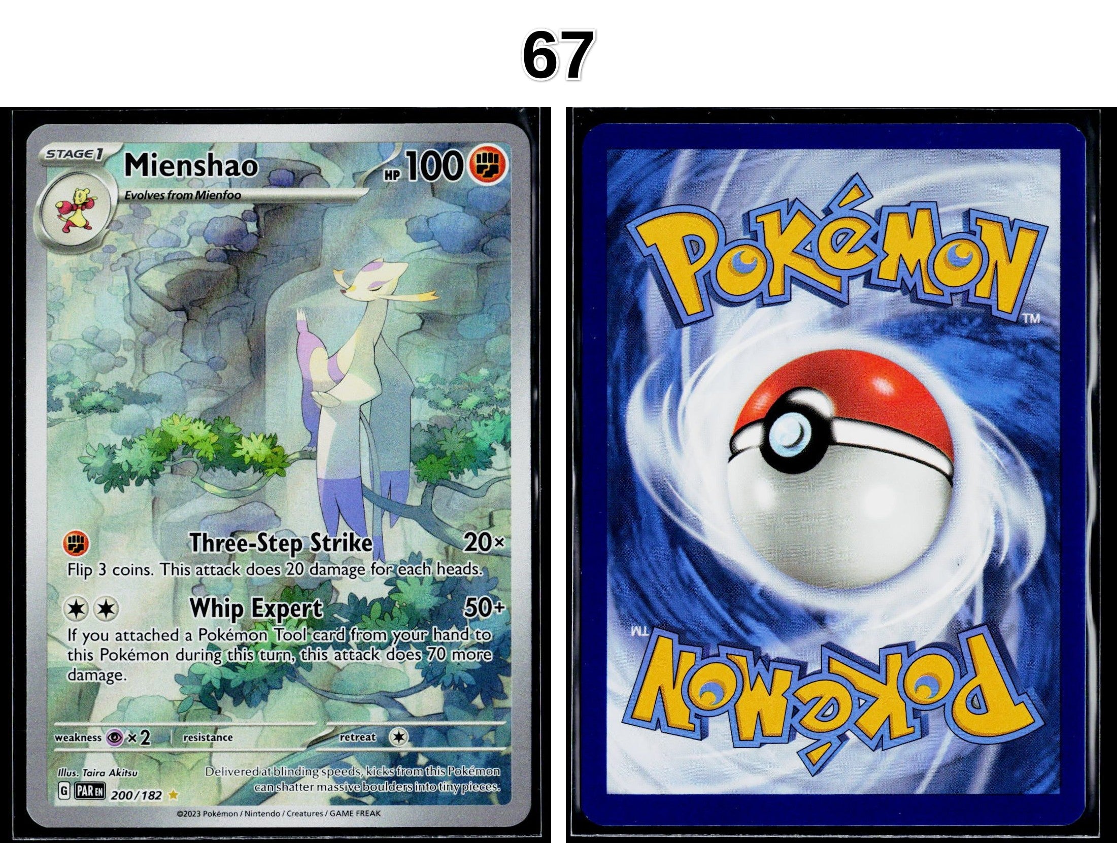 Front + Back scan