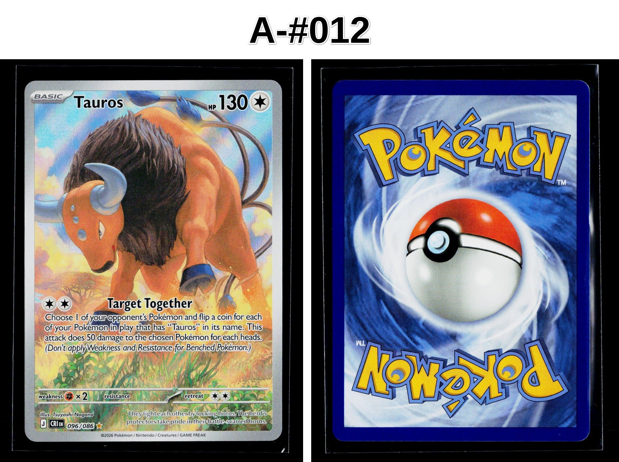 Front + Back scan