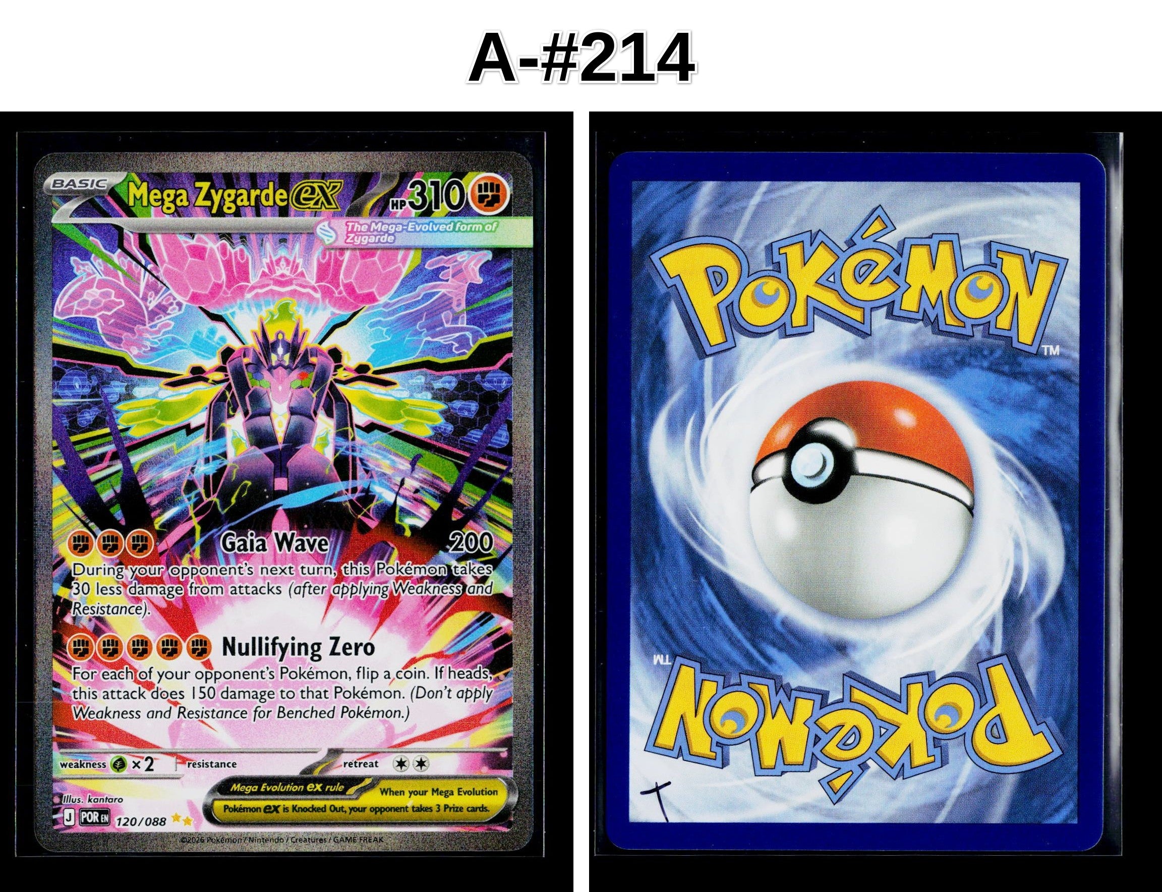 Front + Back scan
