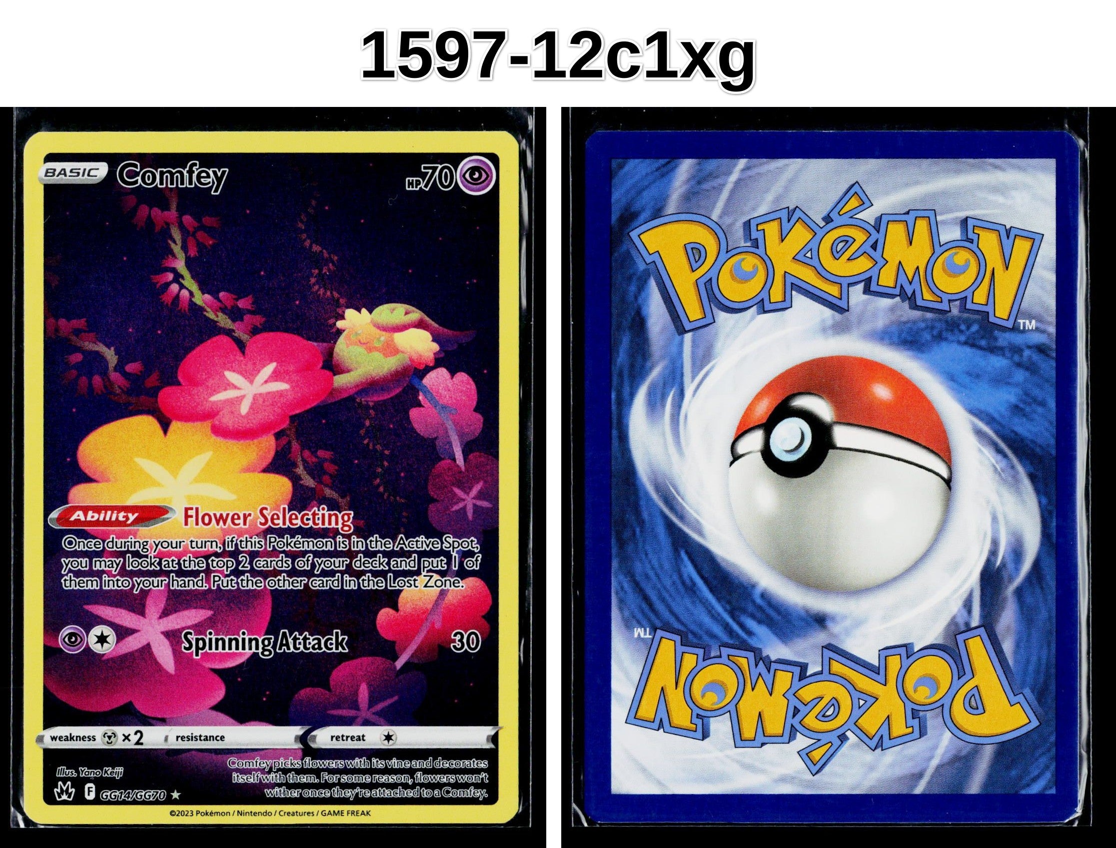 Front + Back scan
