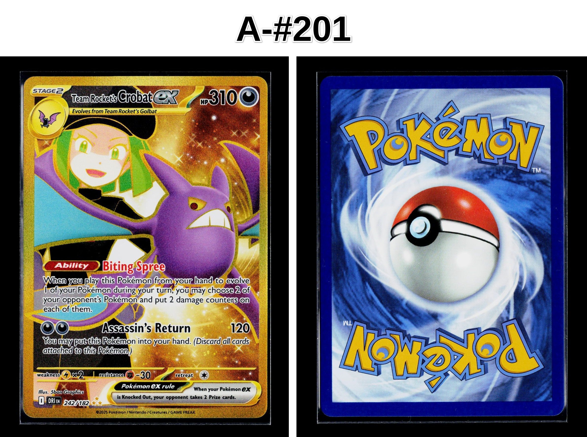 Front + Back scan