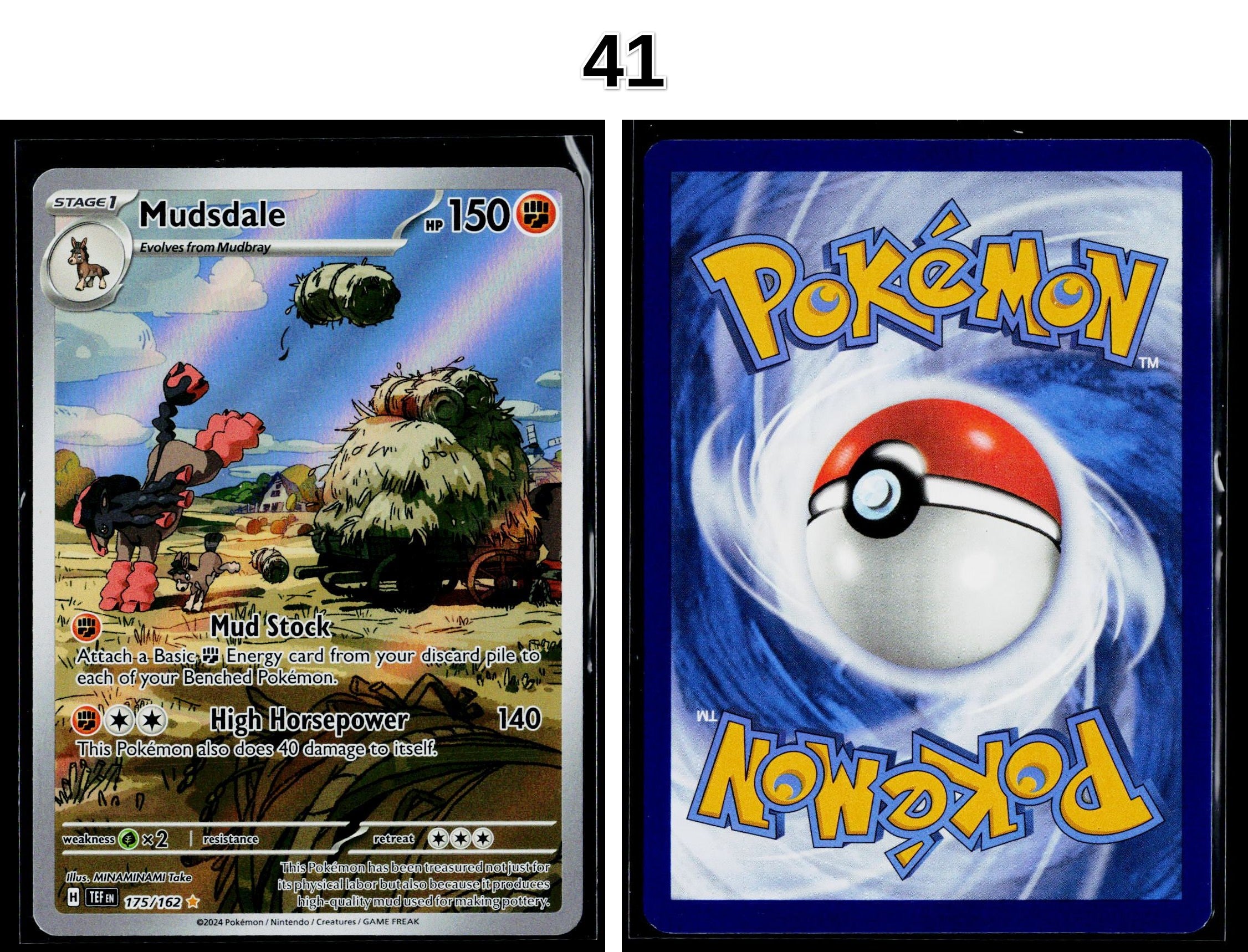 Front + Back scan