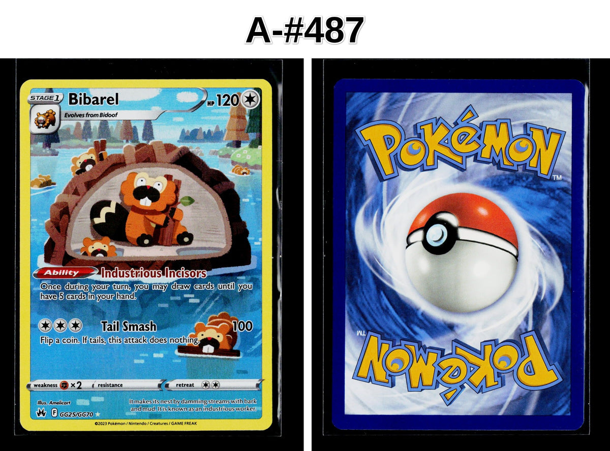 Front + Back scan