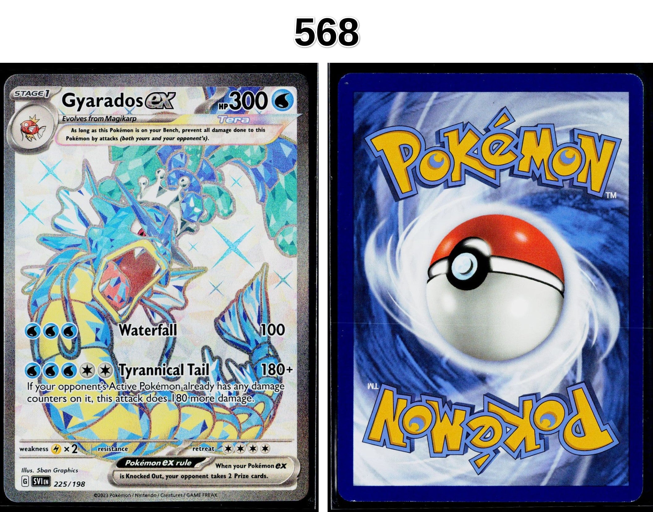 Front + Back scan