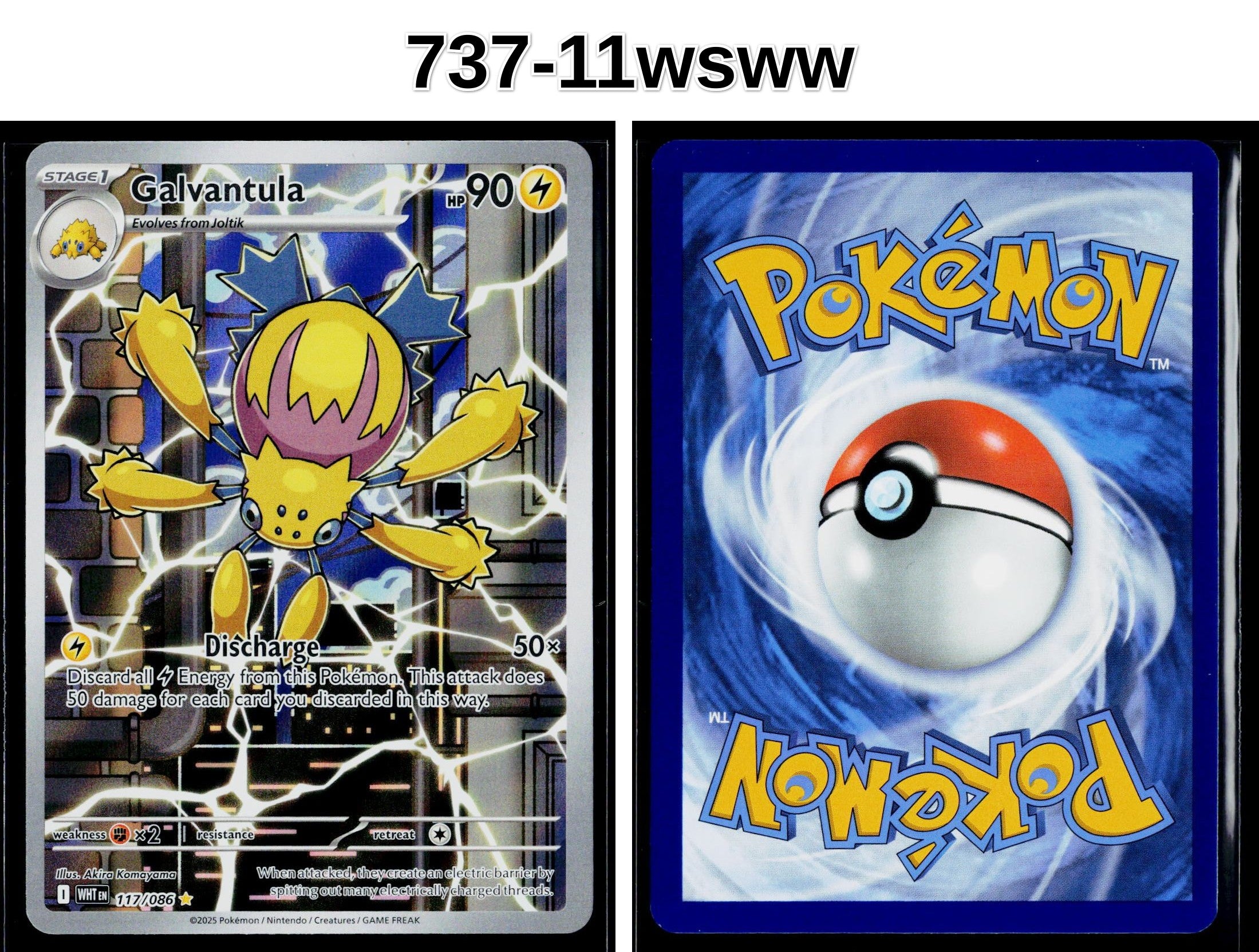 Front + Back scan
