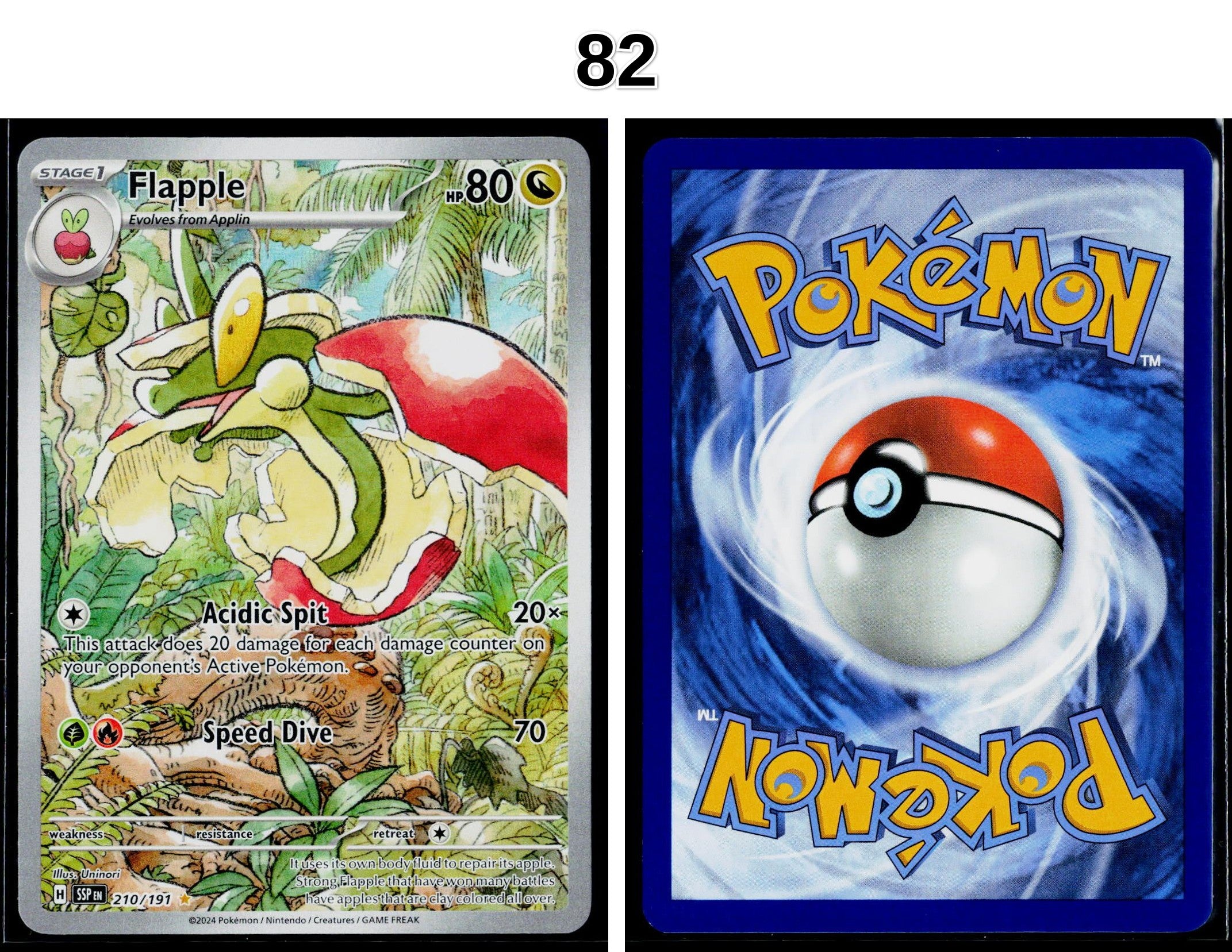 Front + Back scan