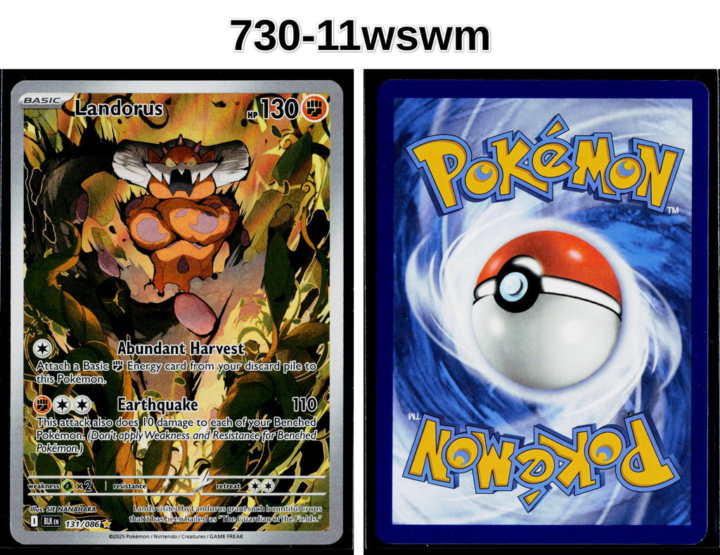 Front + Back scan