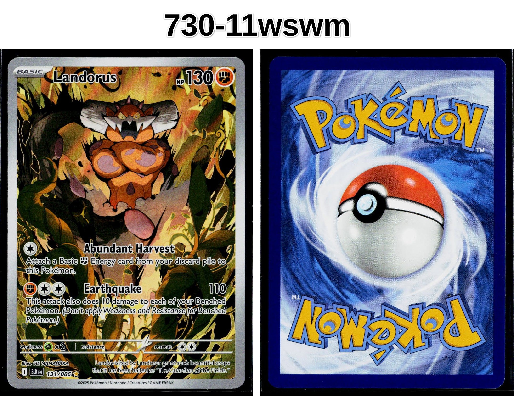 Front + Back scan