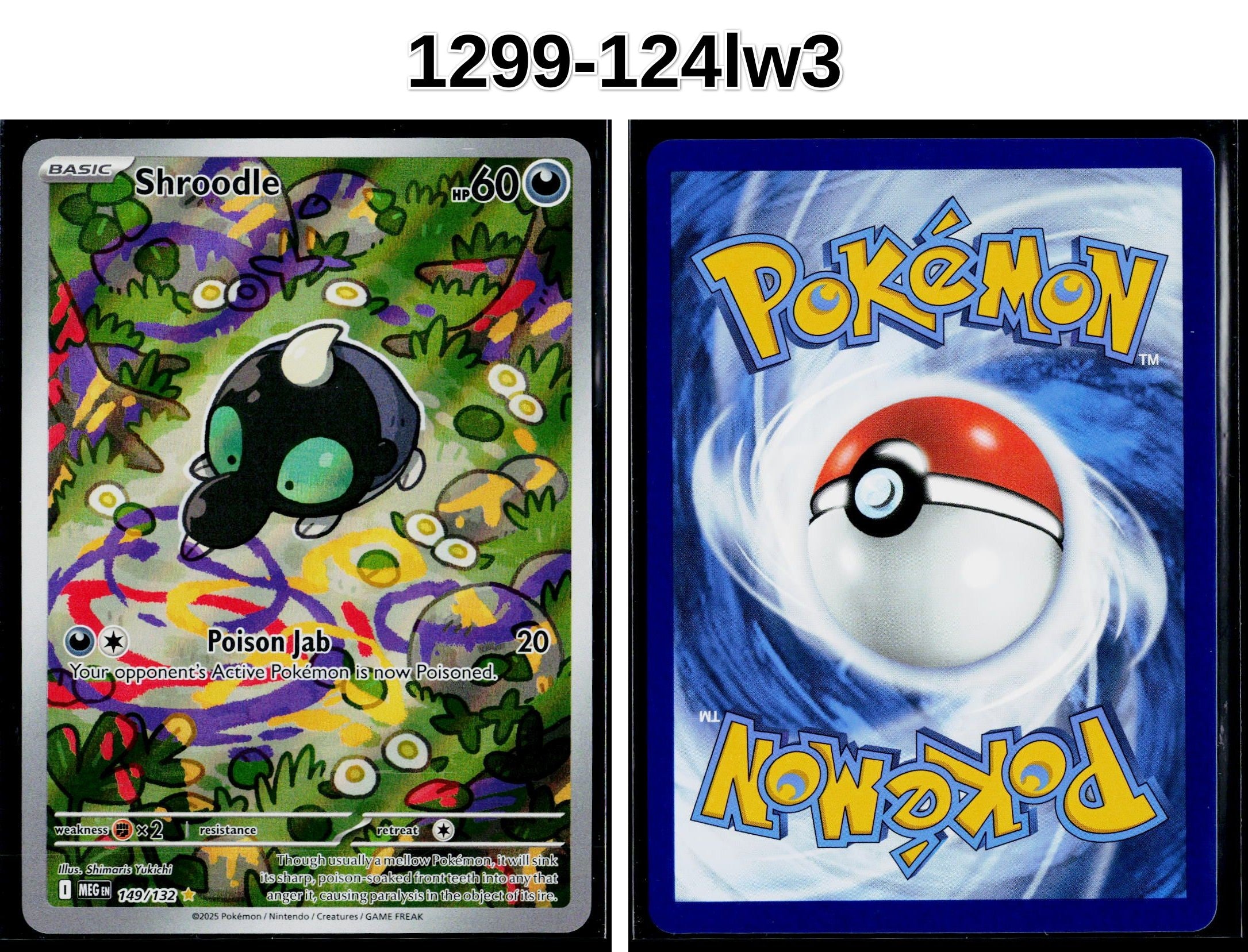 Front + Back scan
