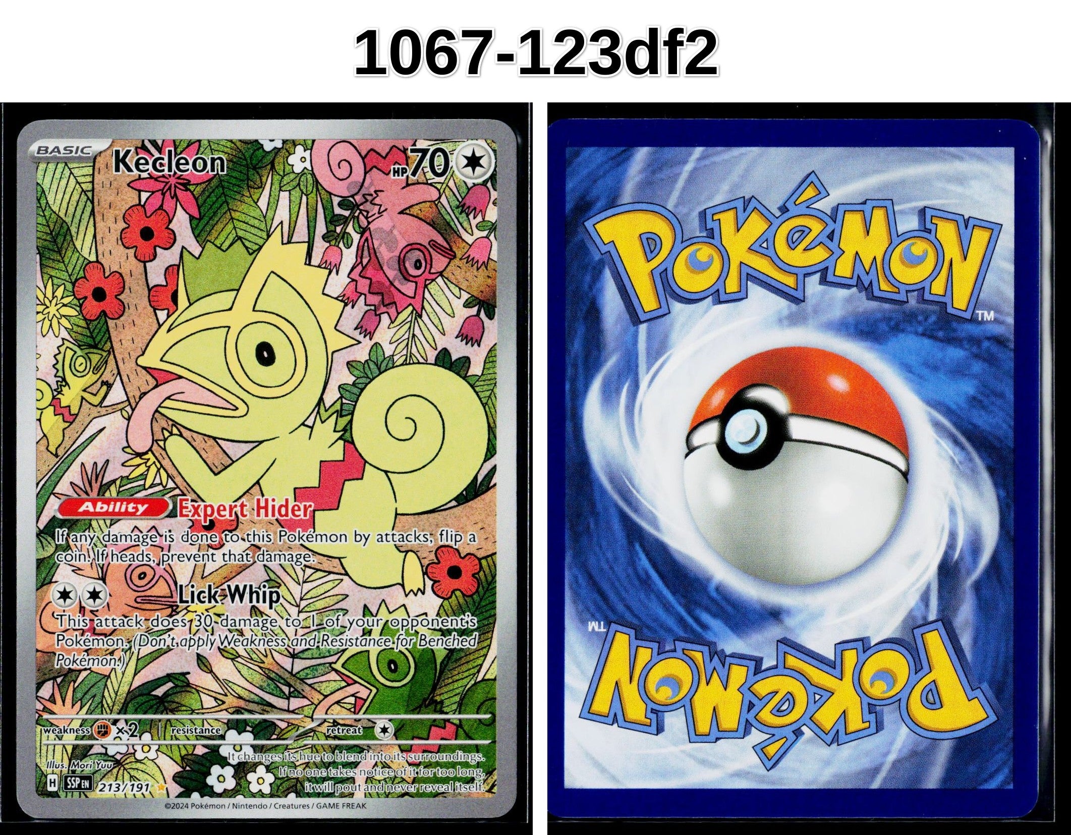 Front + Back scan