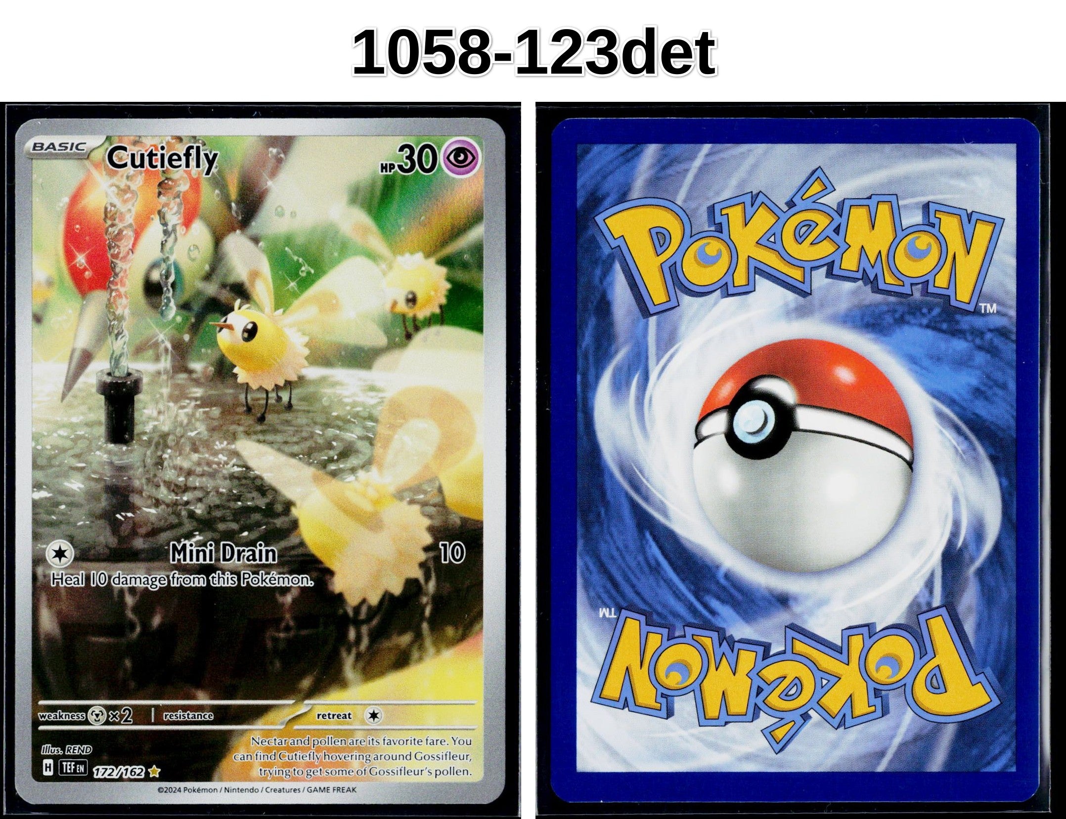 Front + Back scan