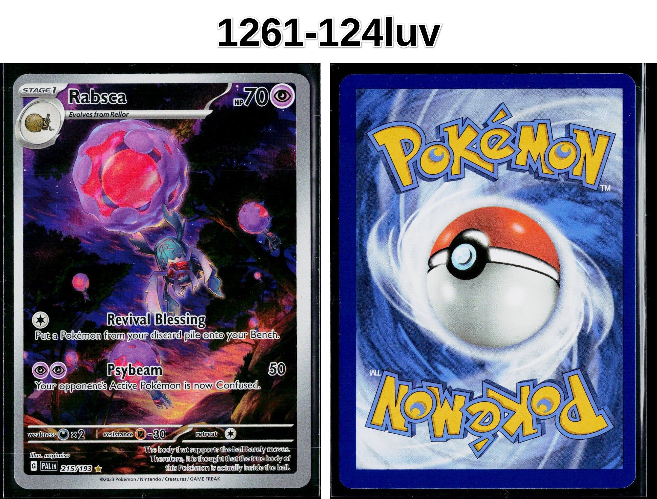 Front + Back scan