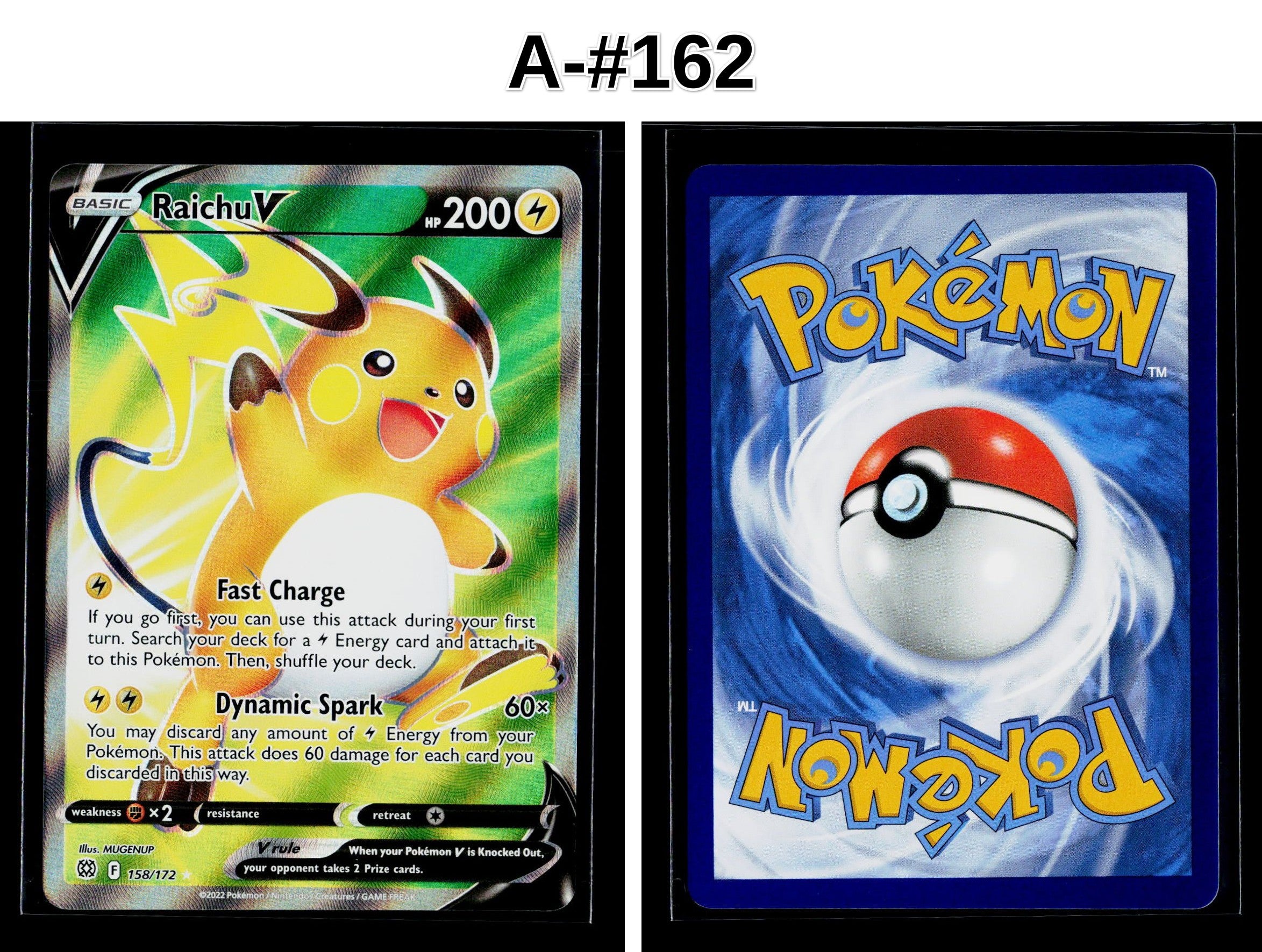 Front + Back scan