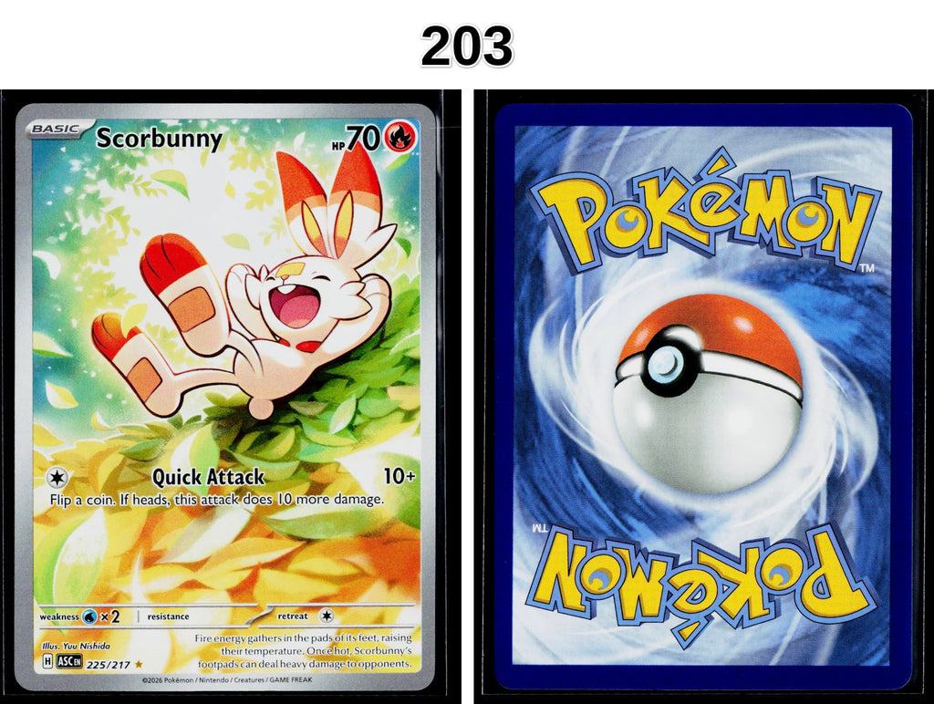 Front + Back scan