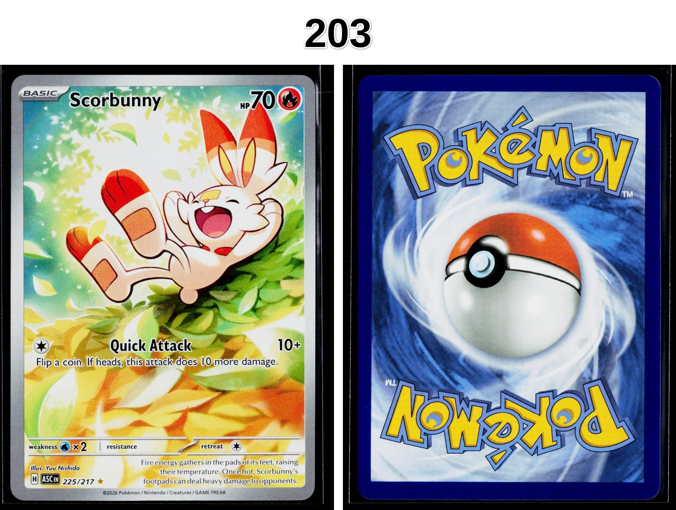 Front + Back scan