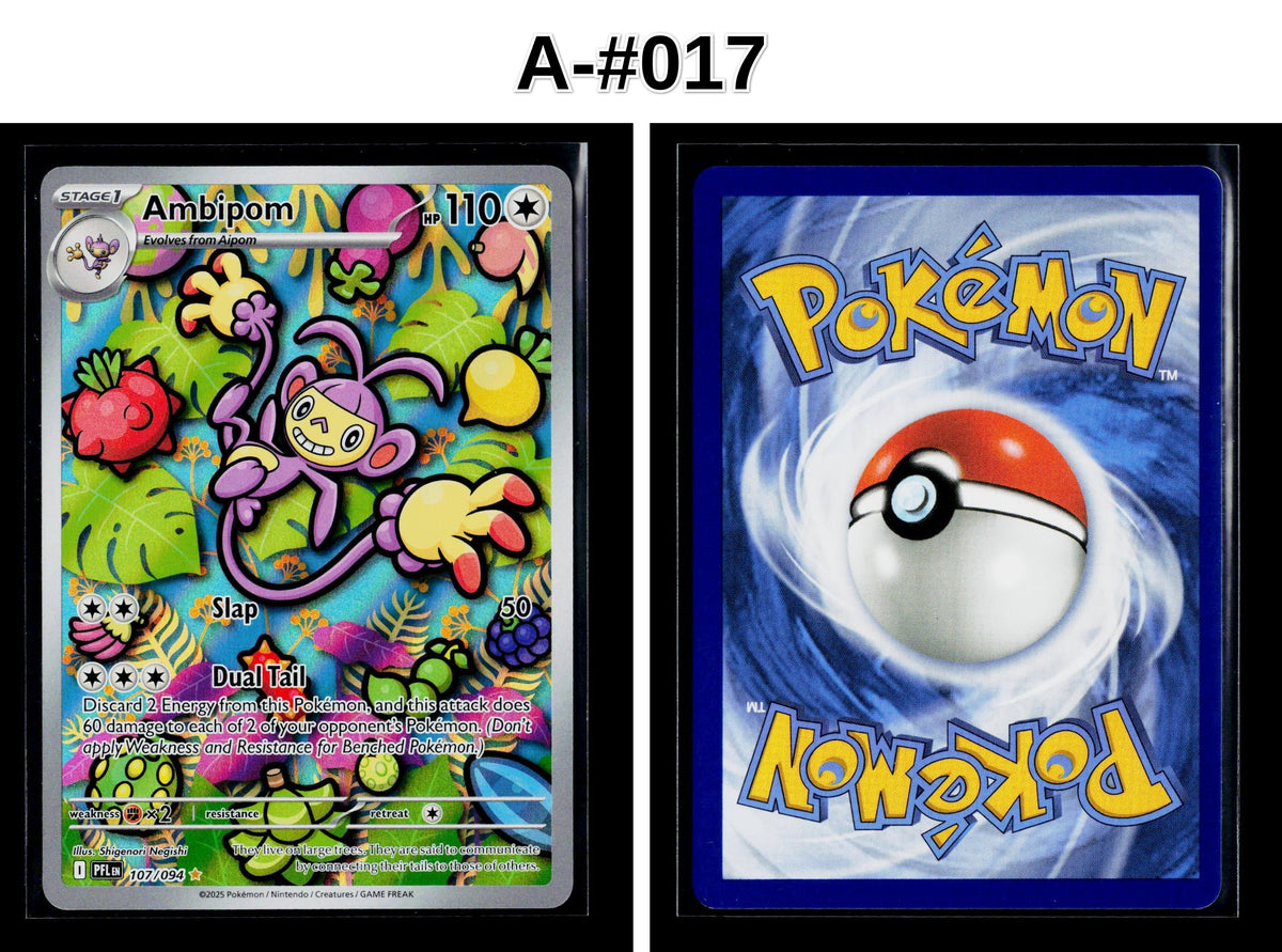Front + Back scan